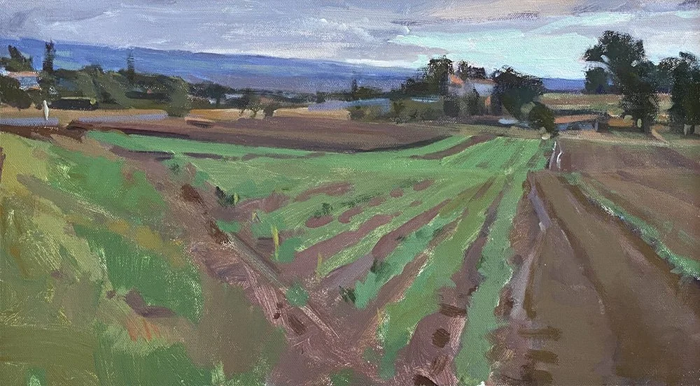 Approaching Rain
