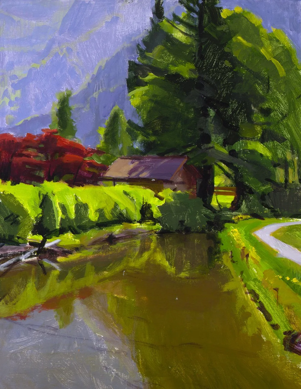 Summer in an Alpine Valley