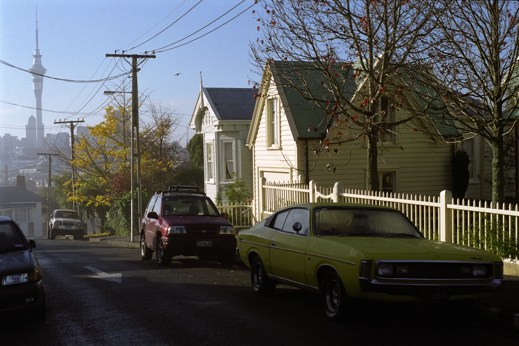 Morning mist at Ponsonby