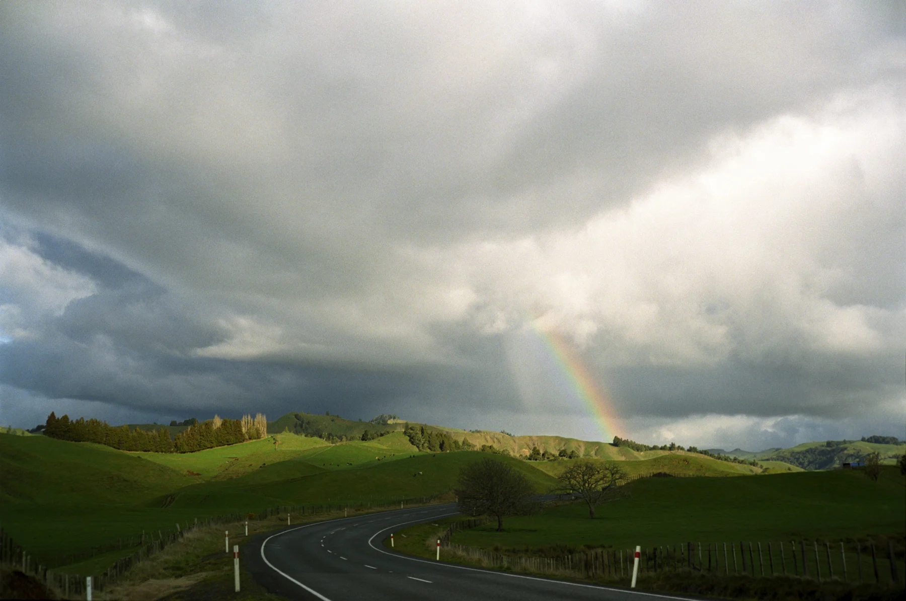 The road to the rainbow end