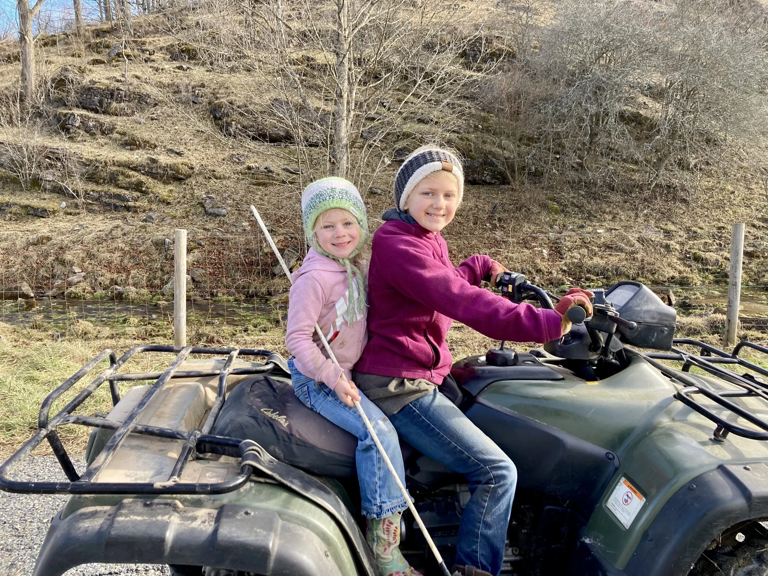 New Year Goals, Meat Subscriptions