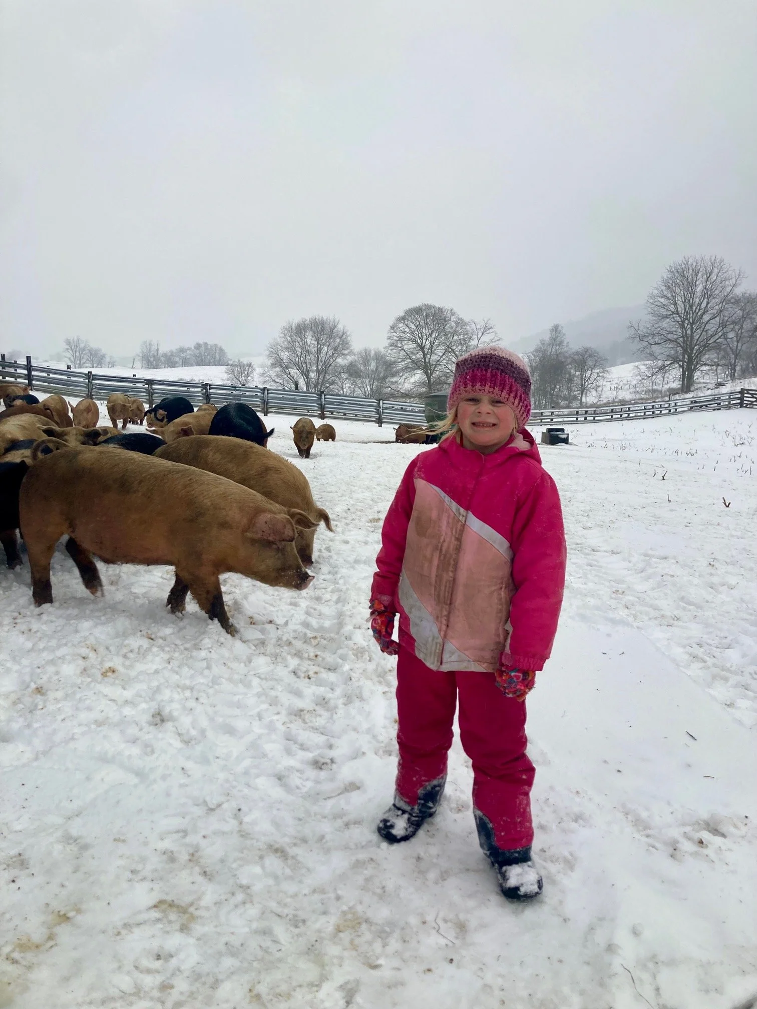 Thawing, Chasing Cows, Psalm 23