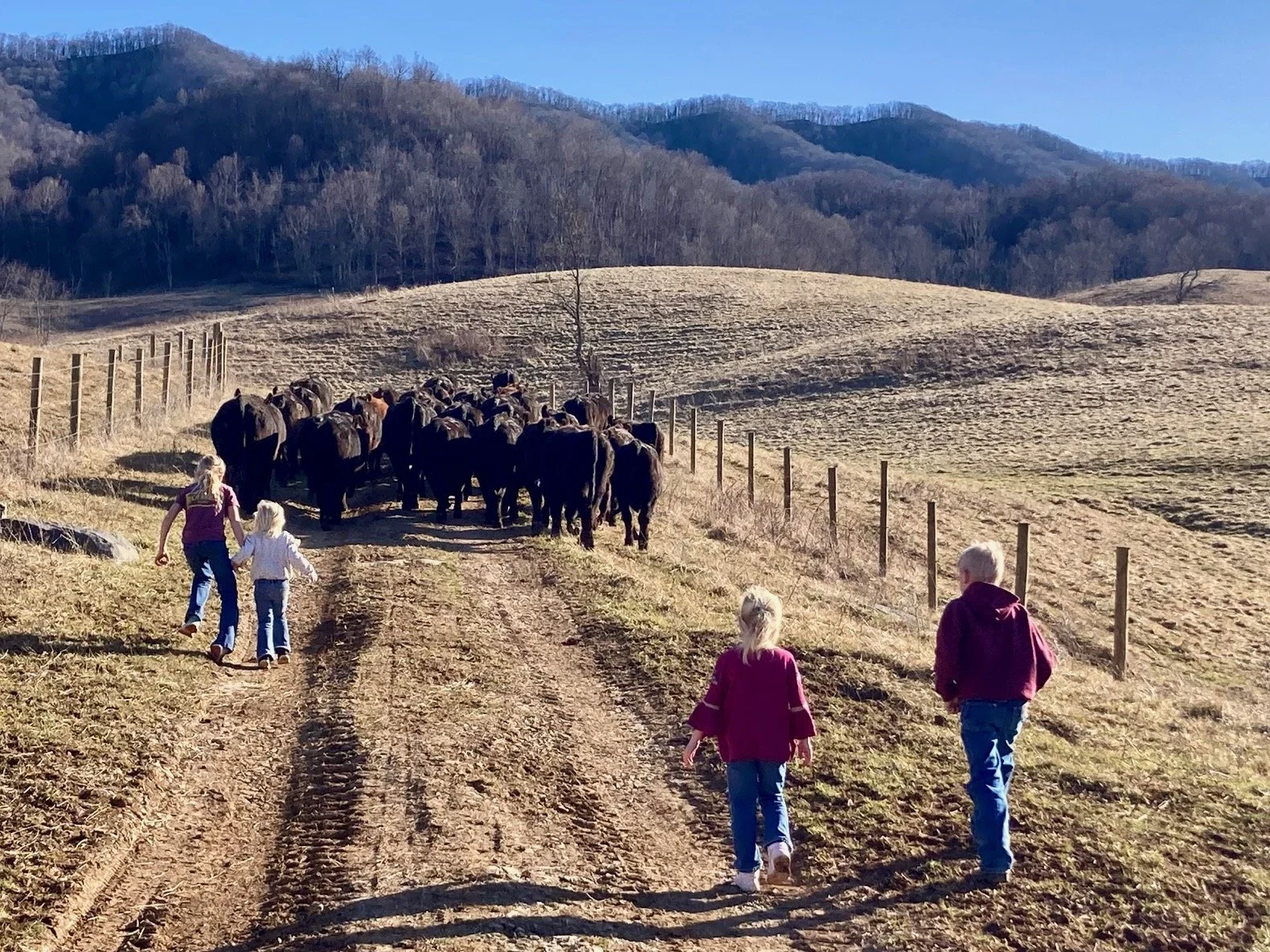 Smoked Meats, Lard, Money Mischief