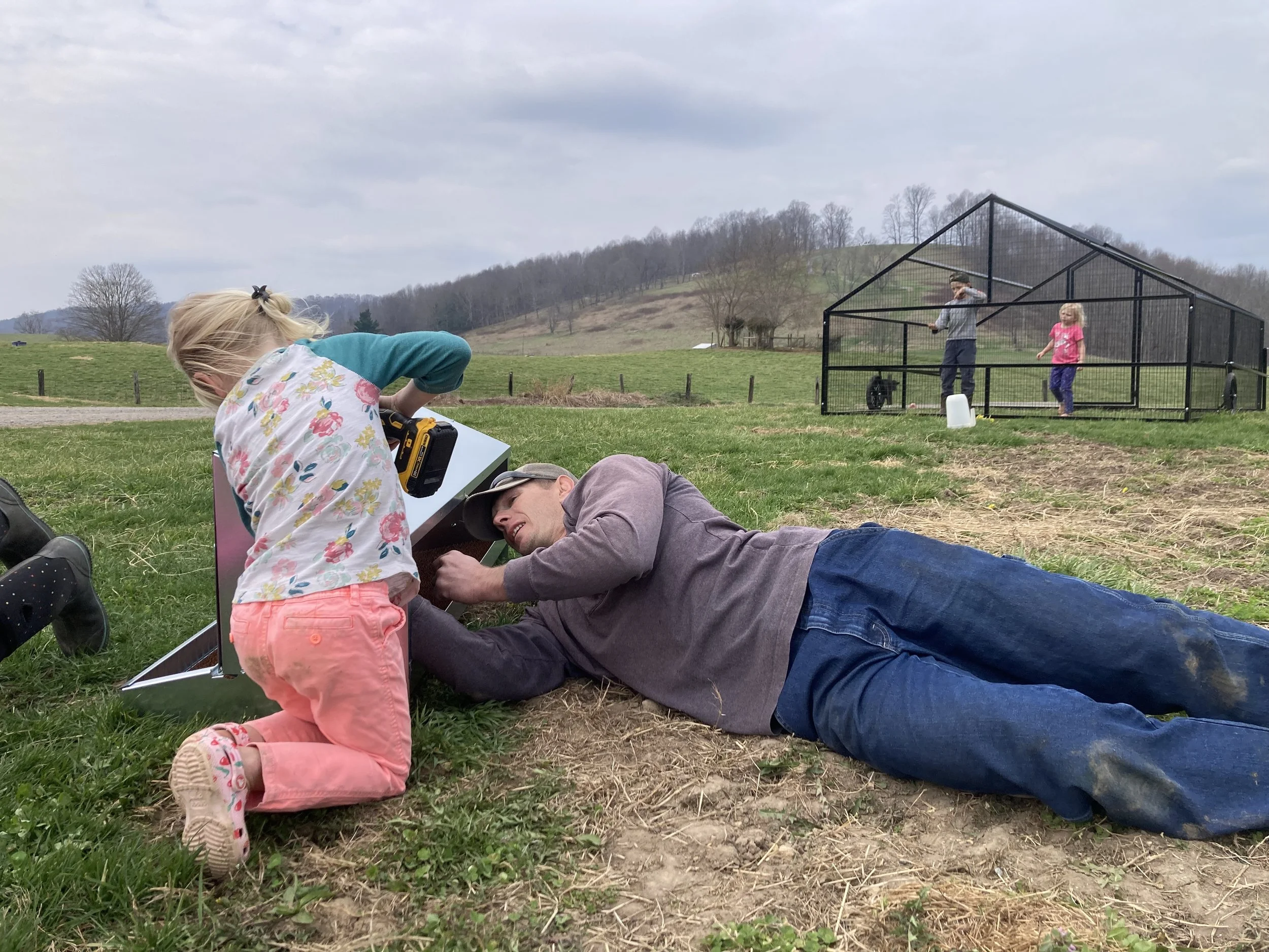 Hen Shelter, Box Jumping, A Long Walk