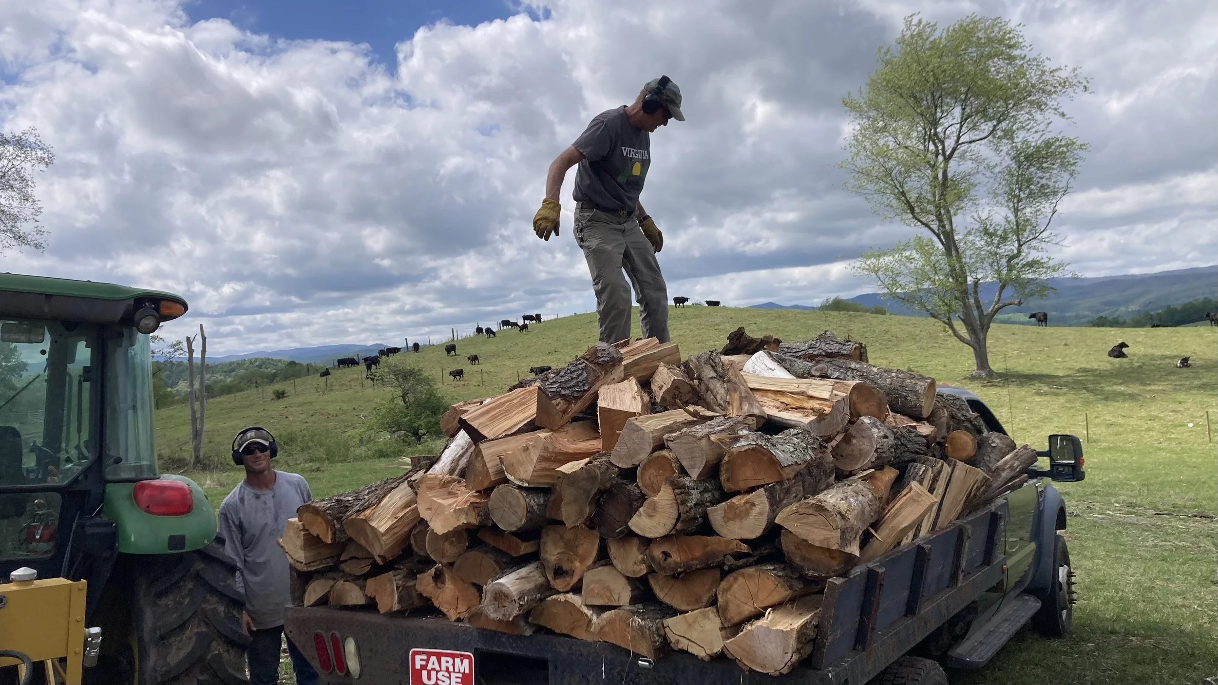 Friends Weekend, Woodshed, Buying Heifers