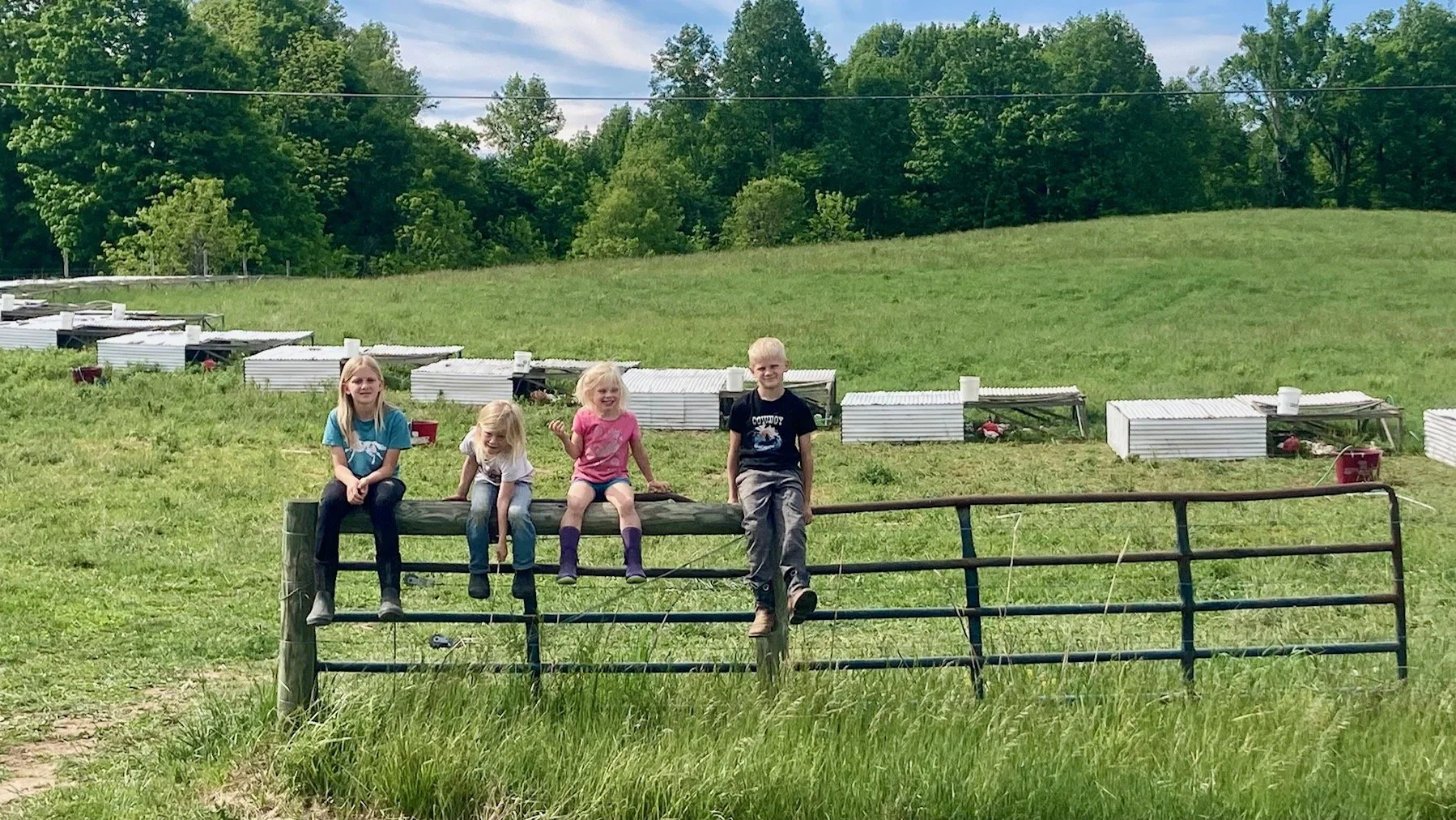 Barn Spring Cleaning, Cookout Prep