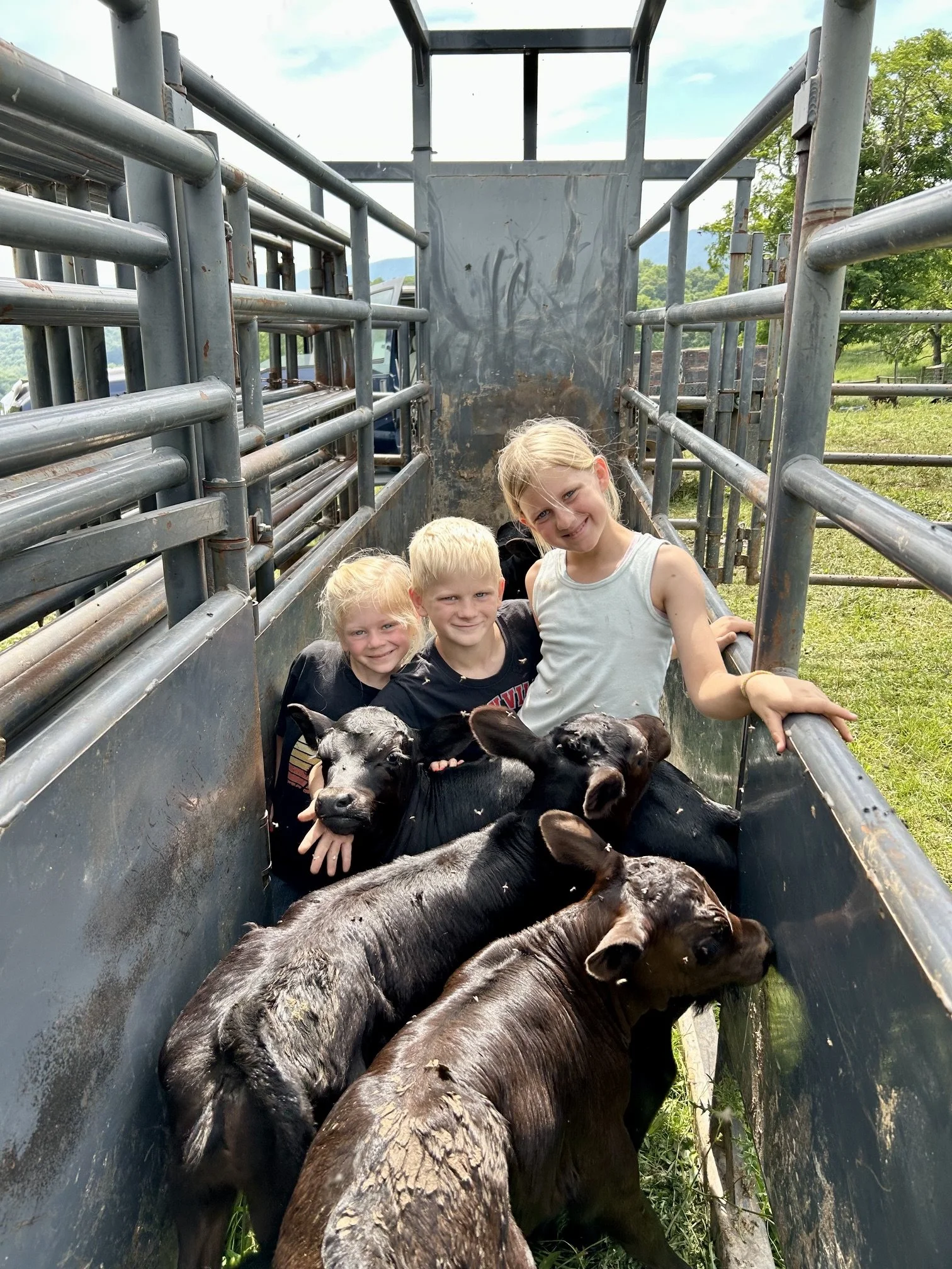 Calf Taggin’, Reproduction Talk, New Bull
