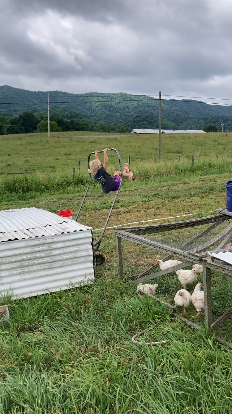 Preg Checkin’ Cows, Weaning Calves