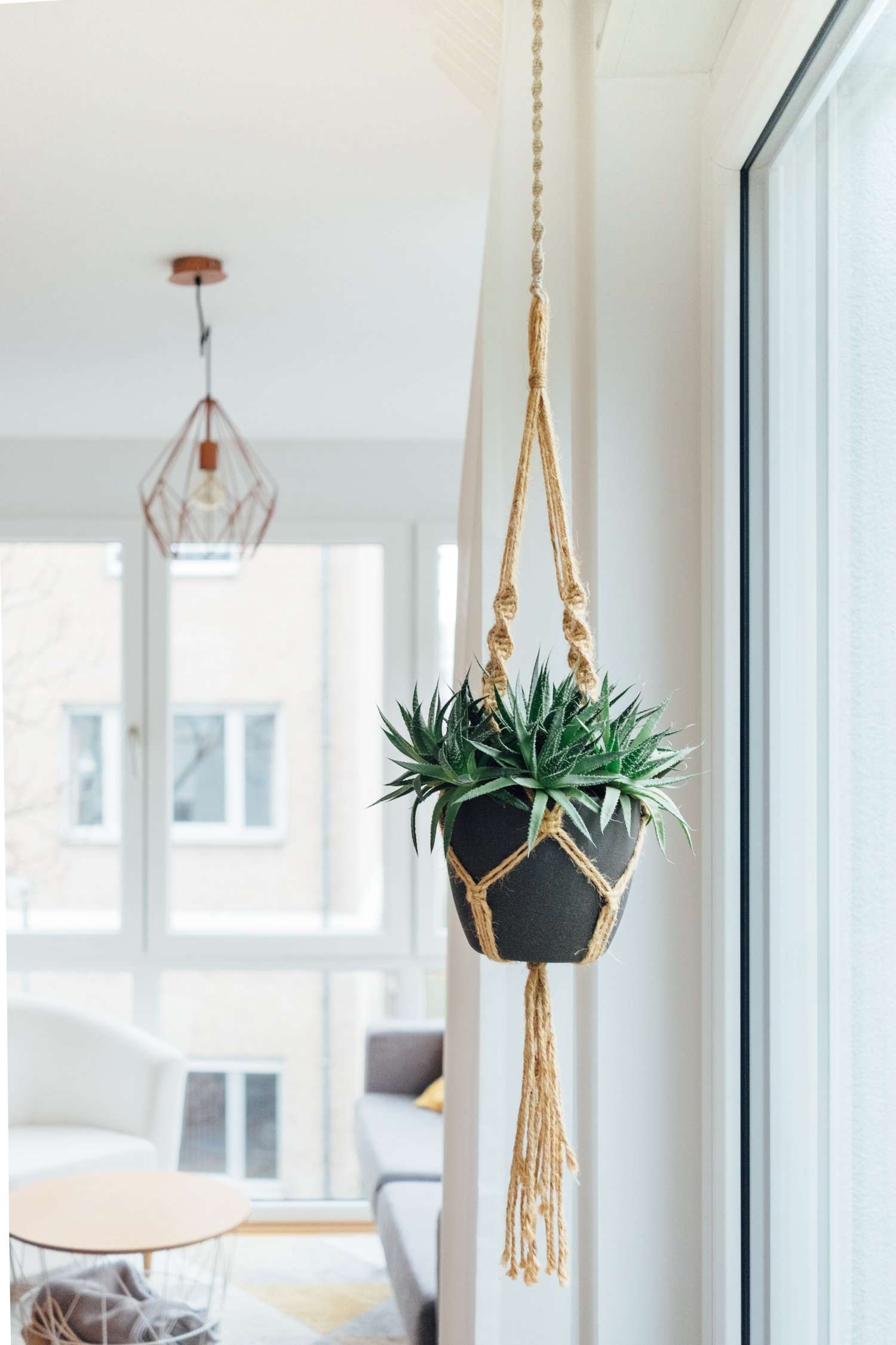 succulents hanging DIY