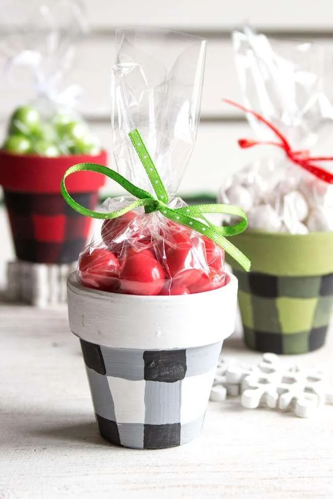 Succulents planter ideas