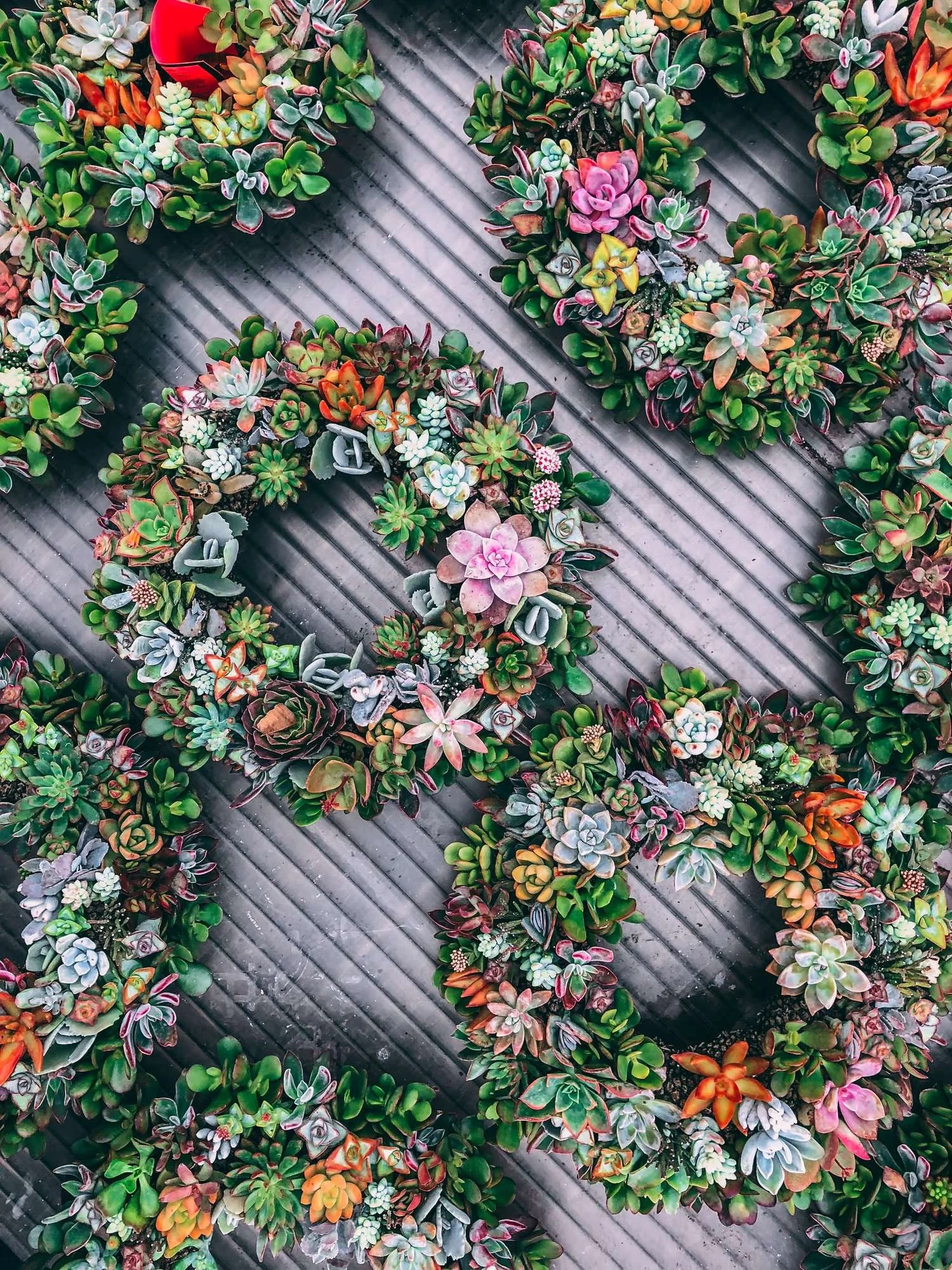faux succulent wreath to DIY for the holidays or seasons