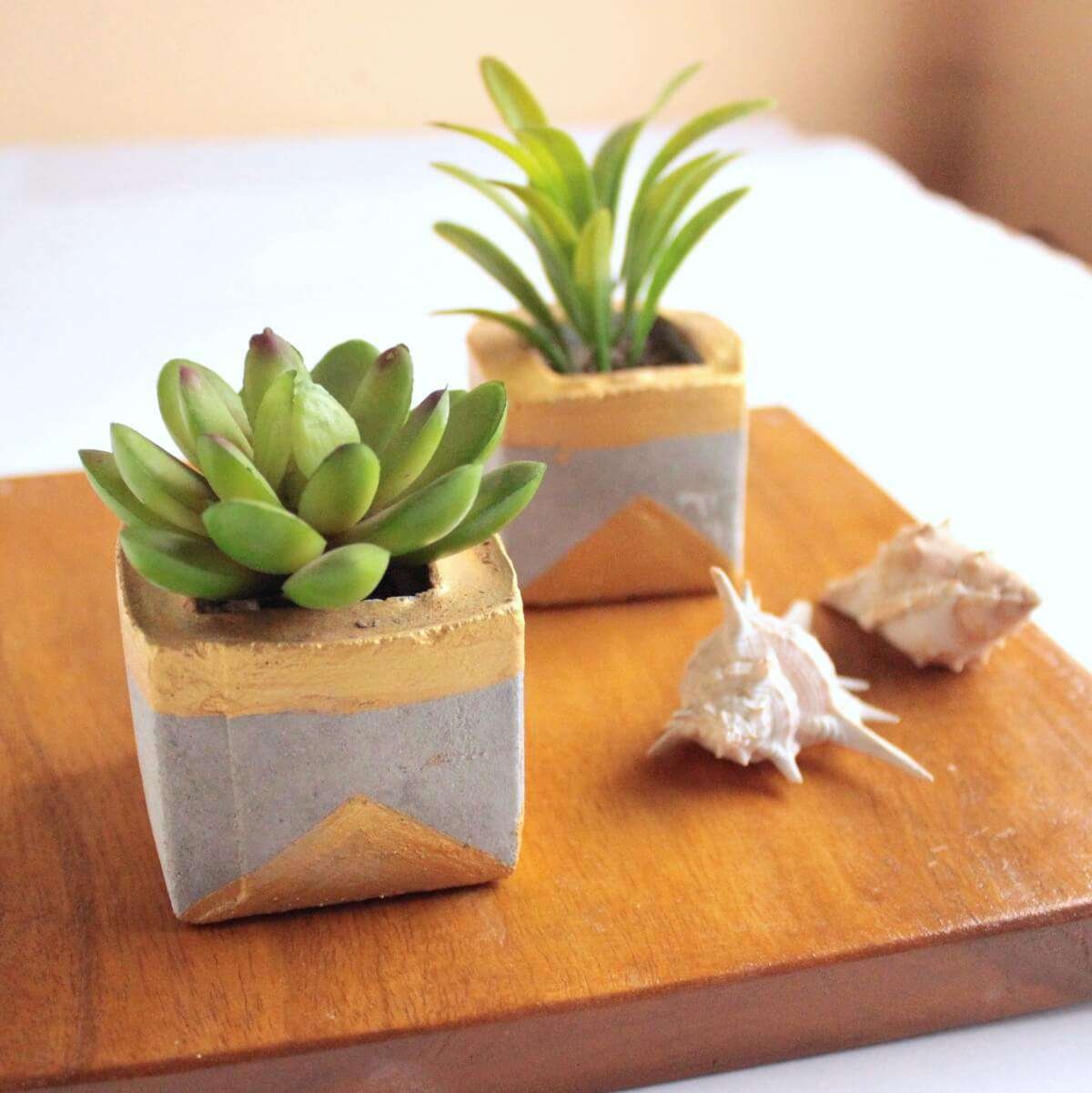 succulents planters made of concrete