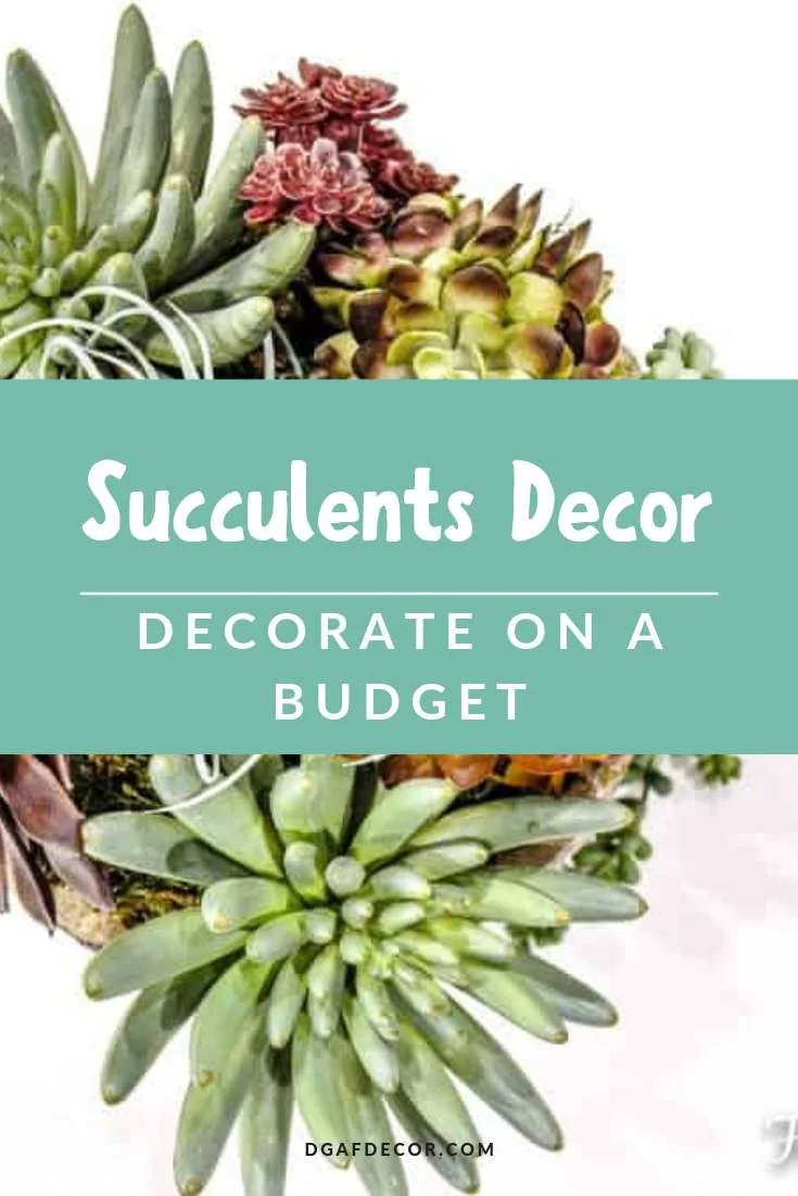 The indoor succulent garden is a simple DIY budget friendly way to add some green to cold weather homes, without requiring much care. These 37 succulents decoration ideas are perfect for a beautiful indoor garden decor.