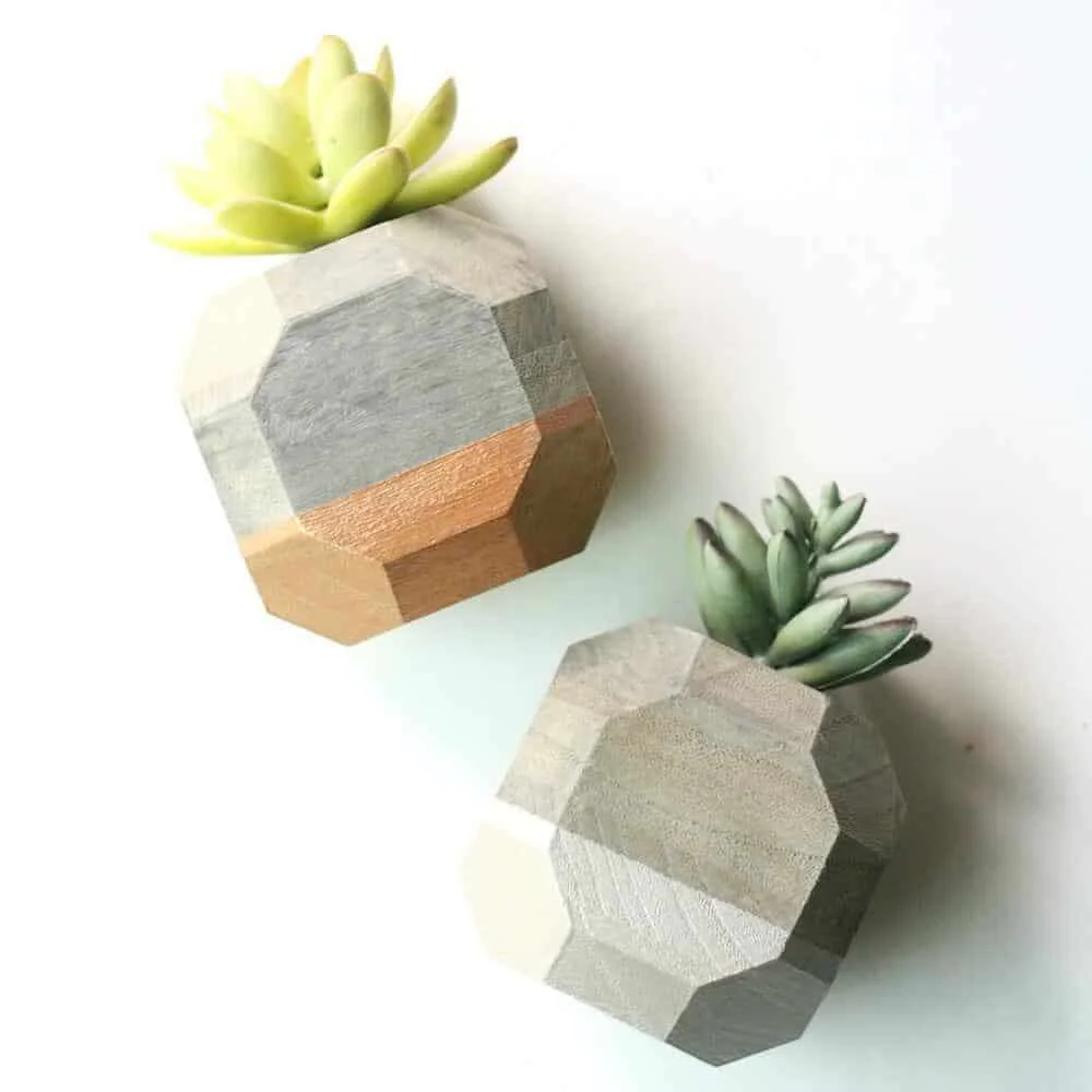 adorable succulents arrangements decor ideas