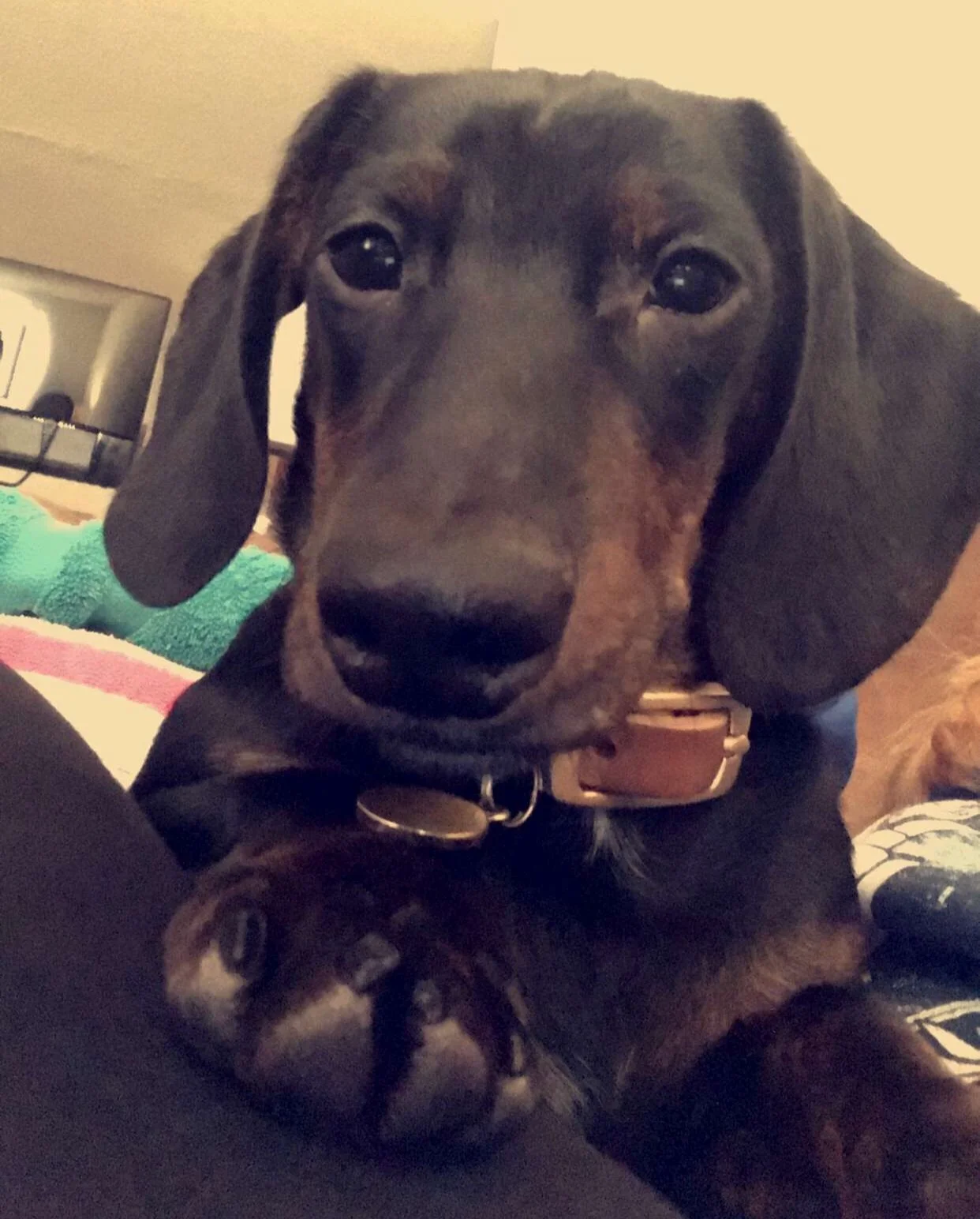Oliver