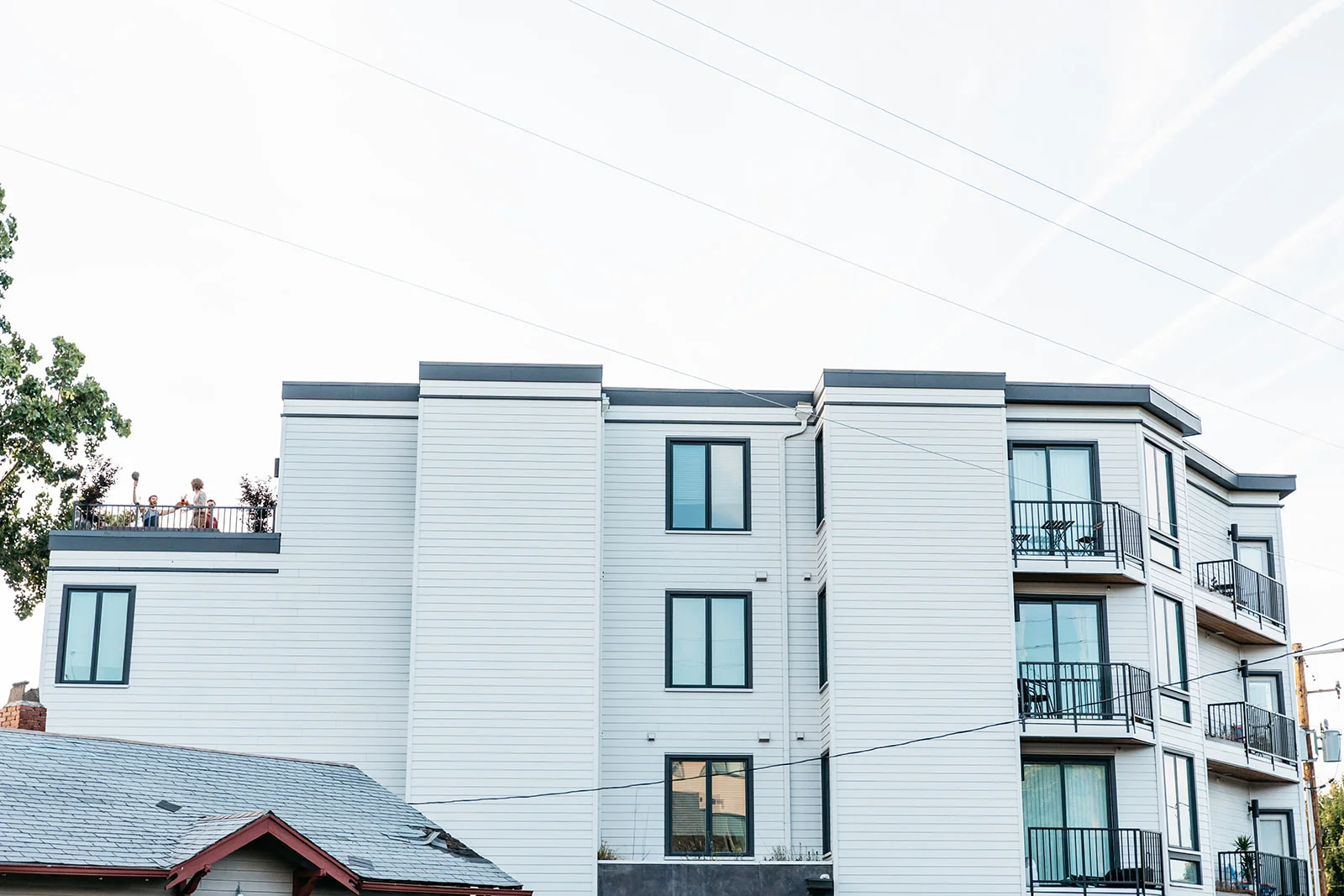 Ellis Flats — Carbon Group