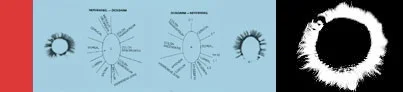 Kirlian-Slide-Image.jpg