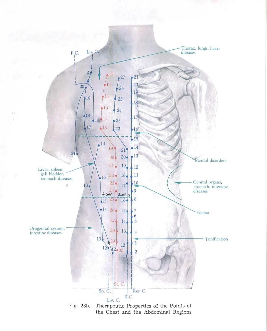 POINT LOCATION CLASS 1