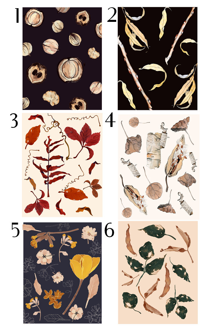 Cards for Website - Labelled.jpg