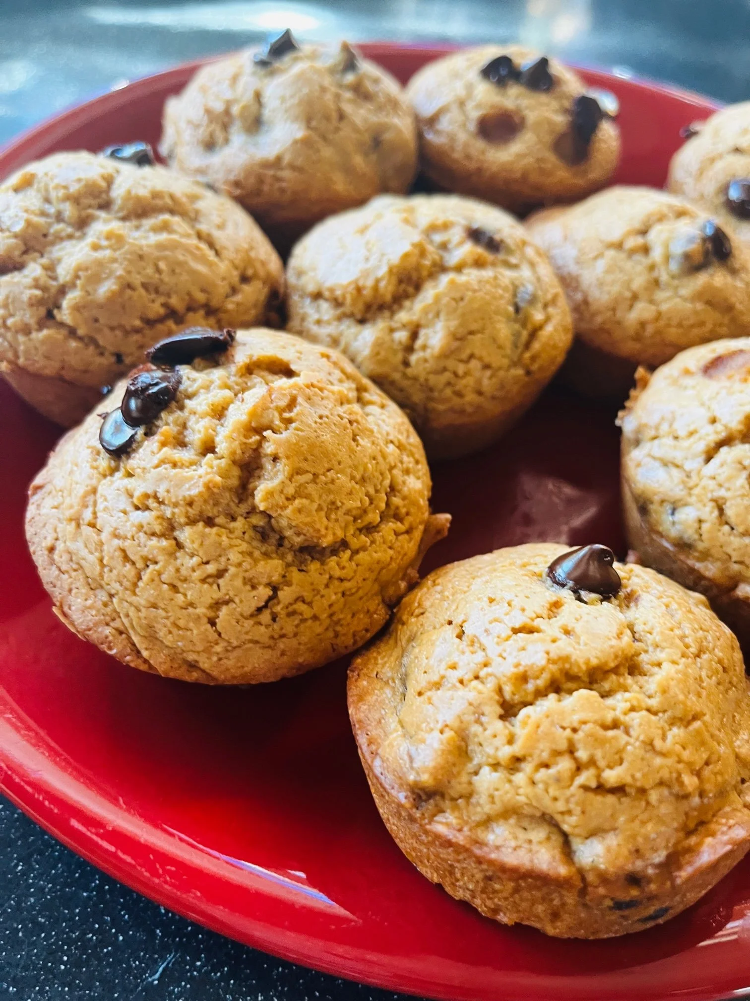 Peanut Butter Chocolate Chip Collagen Muffins (gluten-free)