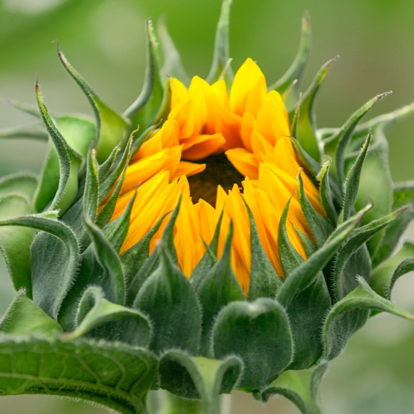 2026! 🎉 

Ready to begin again.