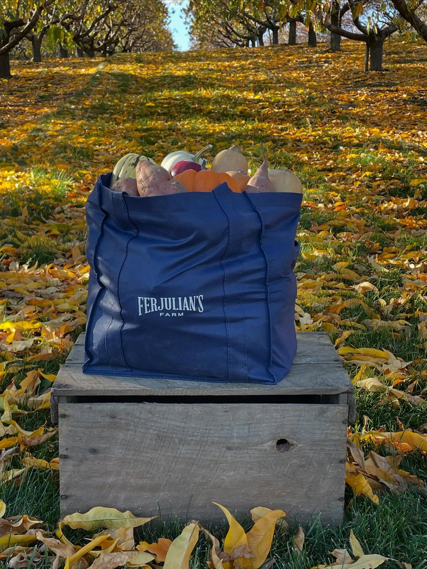 The Blue Bag Special is happening now &mdash; Fill a blue Ferjulian&rsquo;s bag with any combination of apples, squash, sweet potatoes, pumpkins for $25 (approximately 40lbs of farm goods).

Open Saturday 9am - 5pm and Sunday 12pm - 5pm.