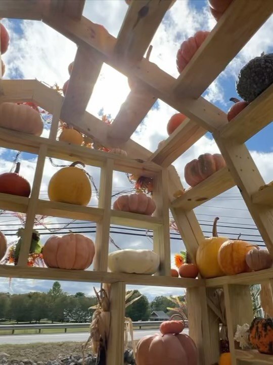 It&rsquo;s Blue Bag Special time!

Fill a Ferjulian&rsquo;s bag (approximately 40lbs for $25) with any combination of apples, squash and mini pumpkins.

We are very grateful to all of you have shopped with us this year and hope these blue bags of far