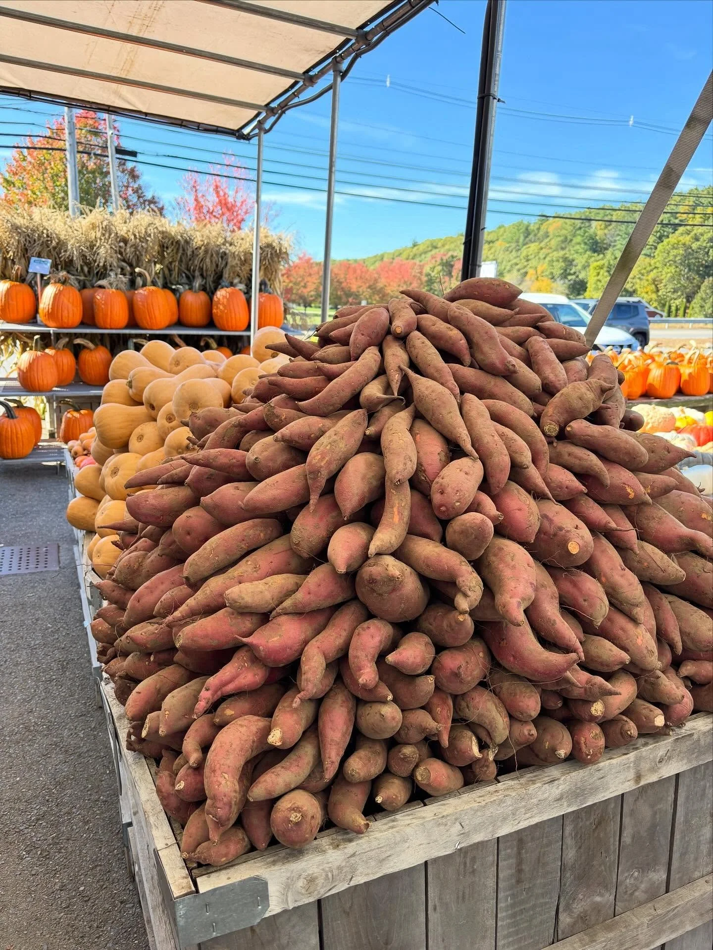 Our Own sweet potatoes are also part of the Blue Bag Special!