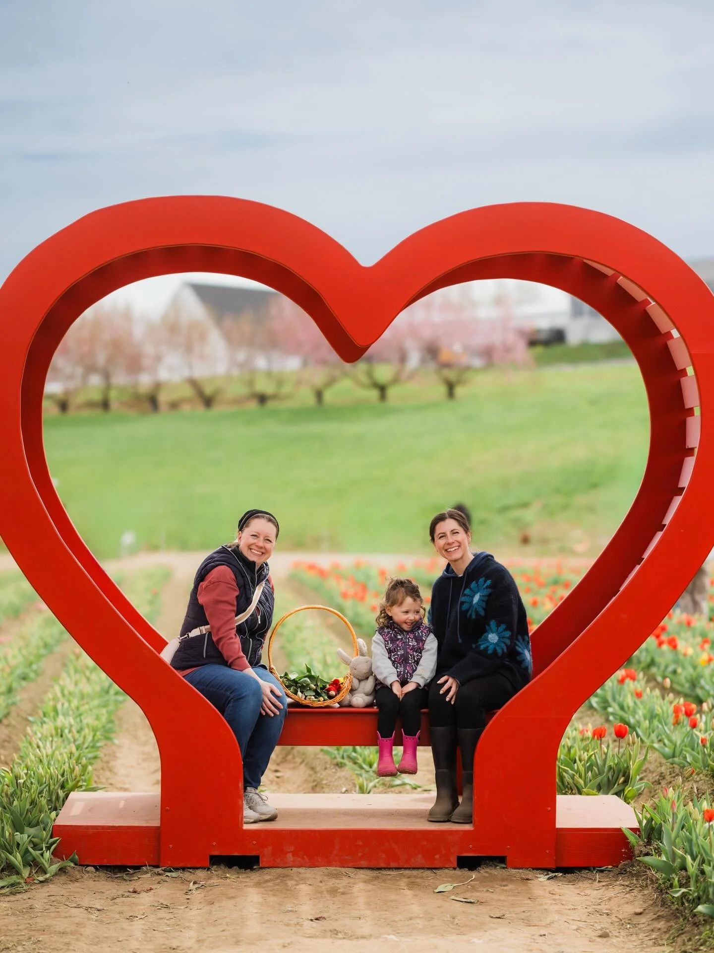 Plenty of tickets available at the door today, Monday 4/27, for tulip picking and the sun is shining. Plus the peach trees are in bloom in the background. Come on down.