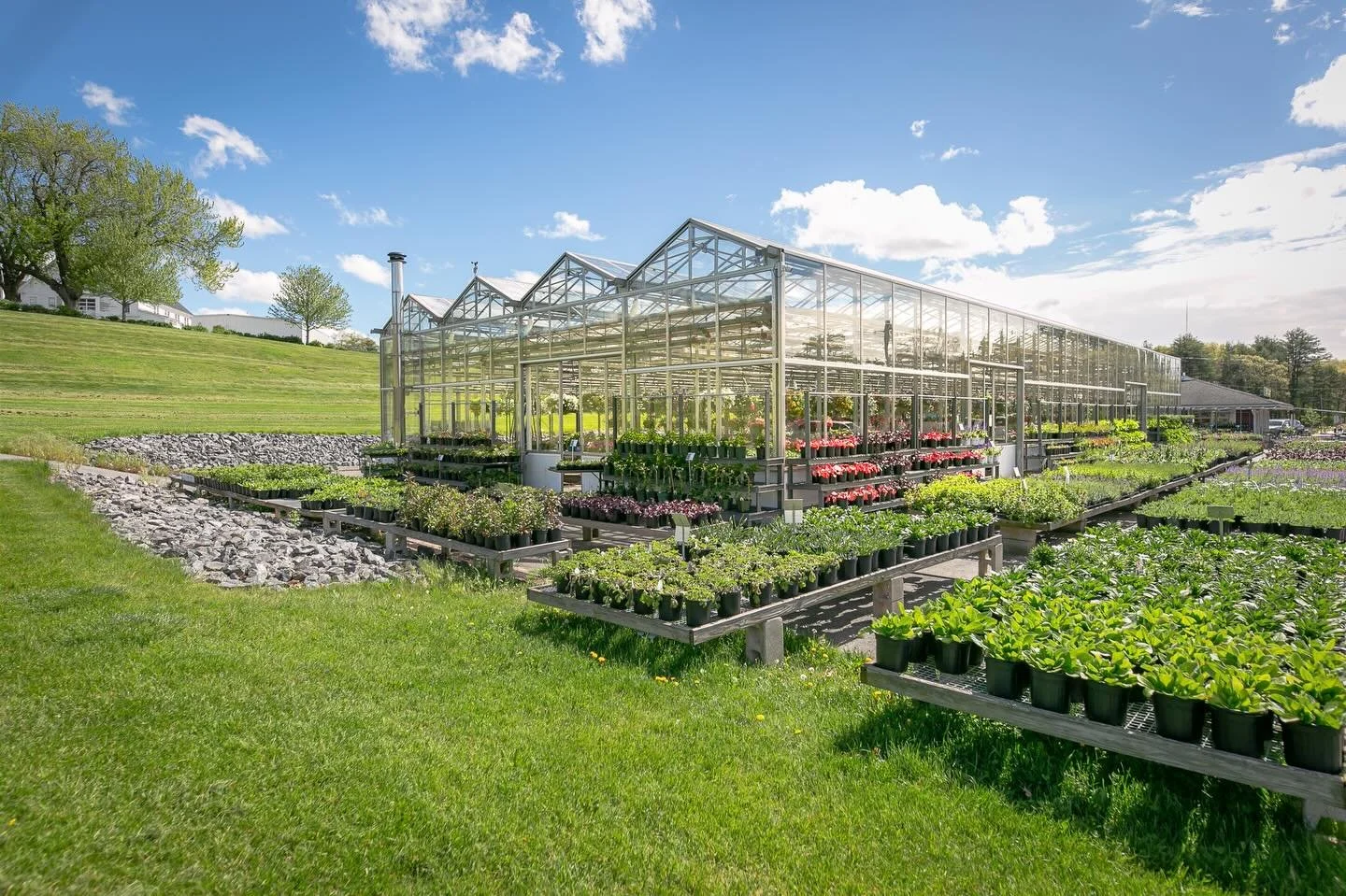 It&rsquo;s time to start planting! The greenhouse is loaded &mdash; come on down. And feel free to message with questions 🤩