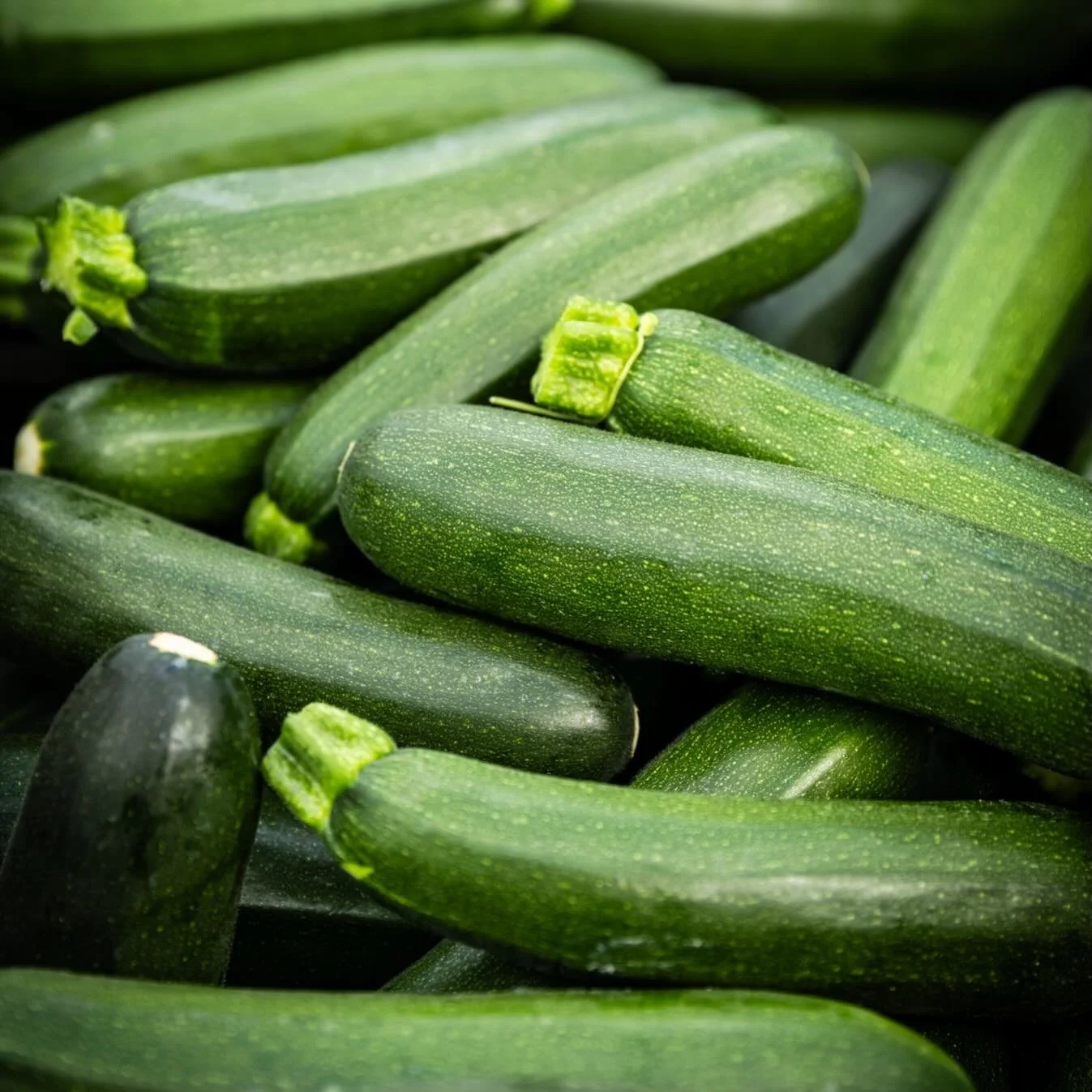 Veggie starts are ready to be planted! You too can be sharing zucchini with your family and neighbors come July.

We have many different varieties of tomatoes, cucumbers, peppers, cauliflower, broccoli, kale, swish chard, squash, Jilo, couves, eggpla