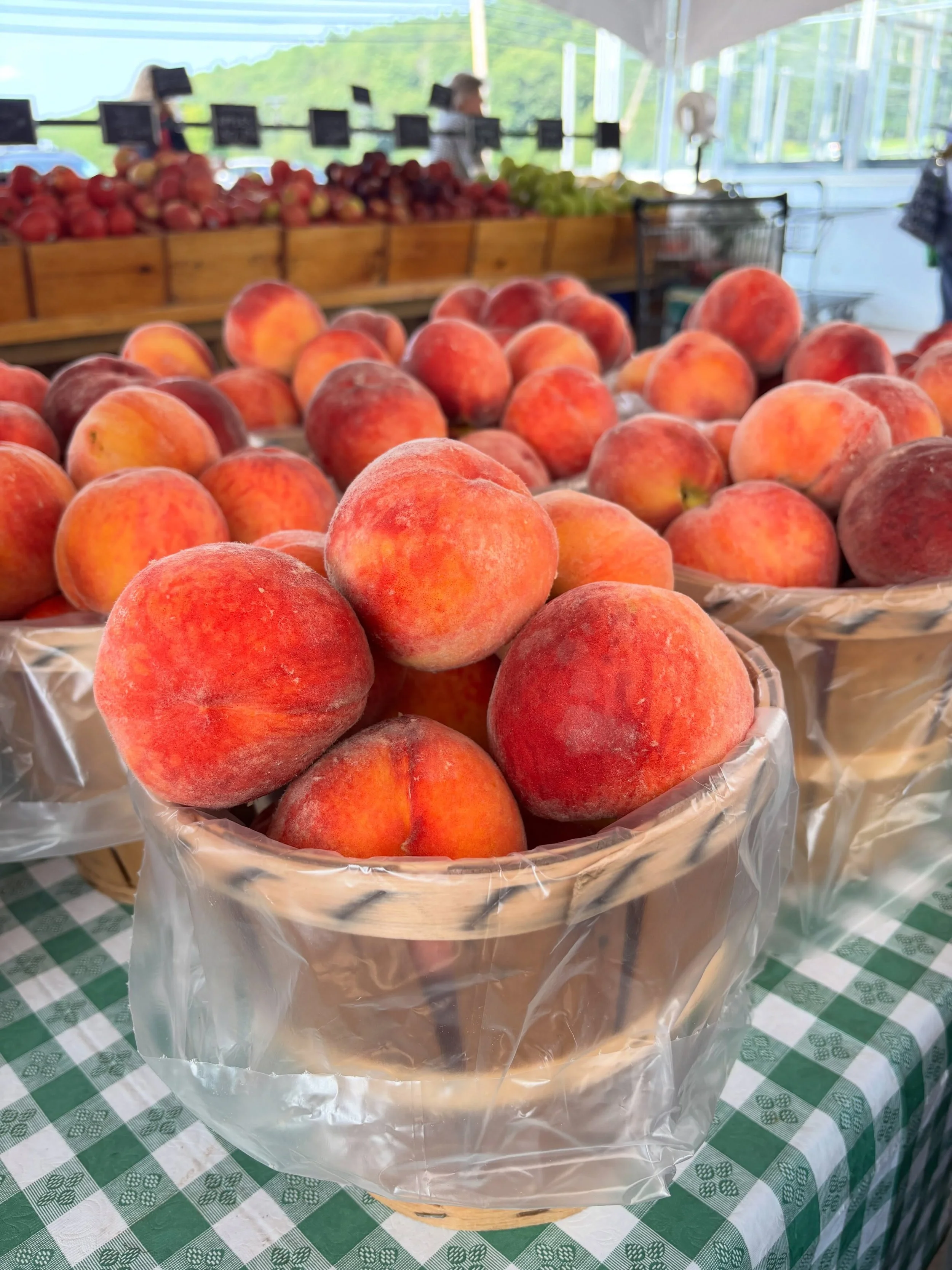 We picked over 100 crates of peaches yesterday so baskets are back ($15 for 6+ lbs)! We&rsquo;ll shut them down when we&rsquo;ve sold about 75% of the haul. Come on over today if you want to make jam, pie, or freeze some for winter 🍑
