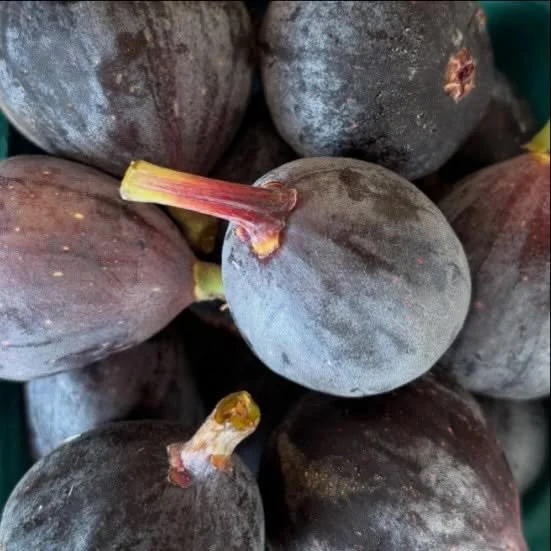 For all of our fig lovers: we&rsquo;ve got them and they&rsquo;re phenomenal.