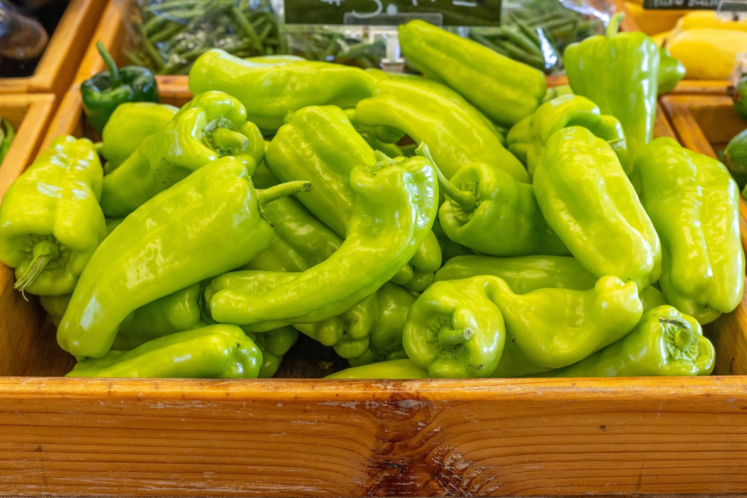 The vibrant colors of peppers coming in from the field this time of year 🤌

These are cubanelle peppers. They&rsquo;re sweet, mild, and are often called Italian frying peppers because they cook down well in a pan.