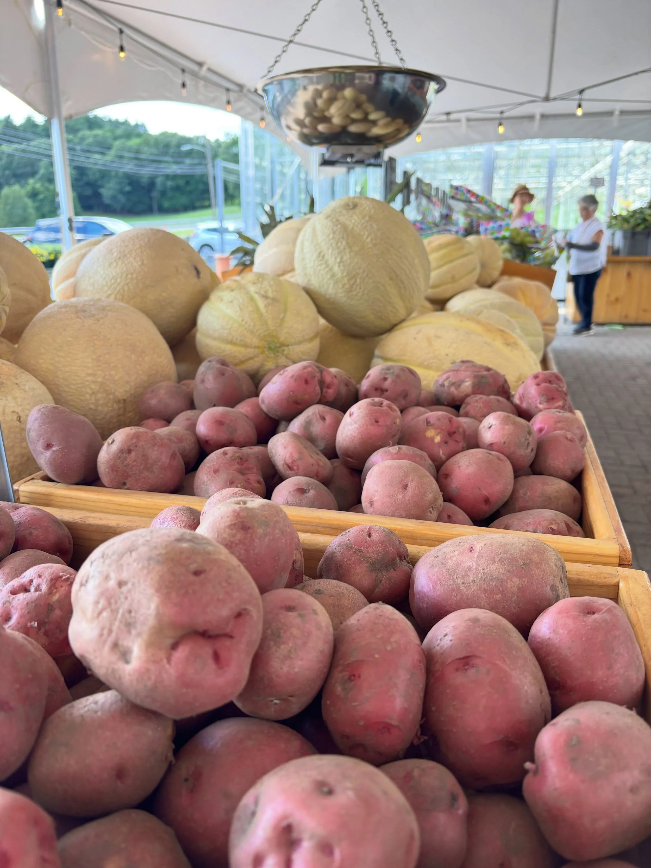 Our Own melons and potatoes. Great weekend for eating in New England.