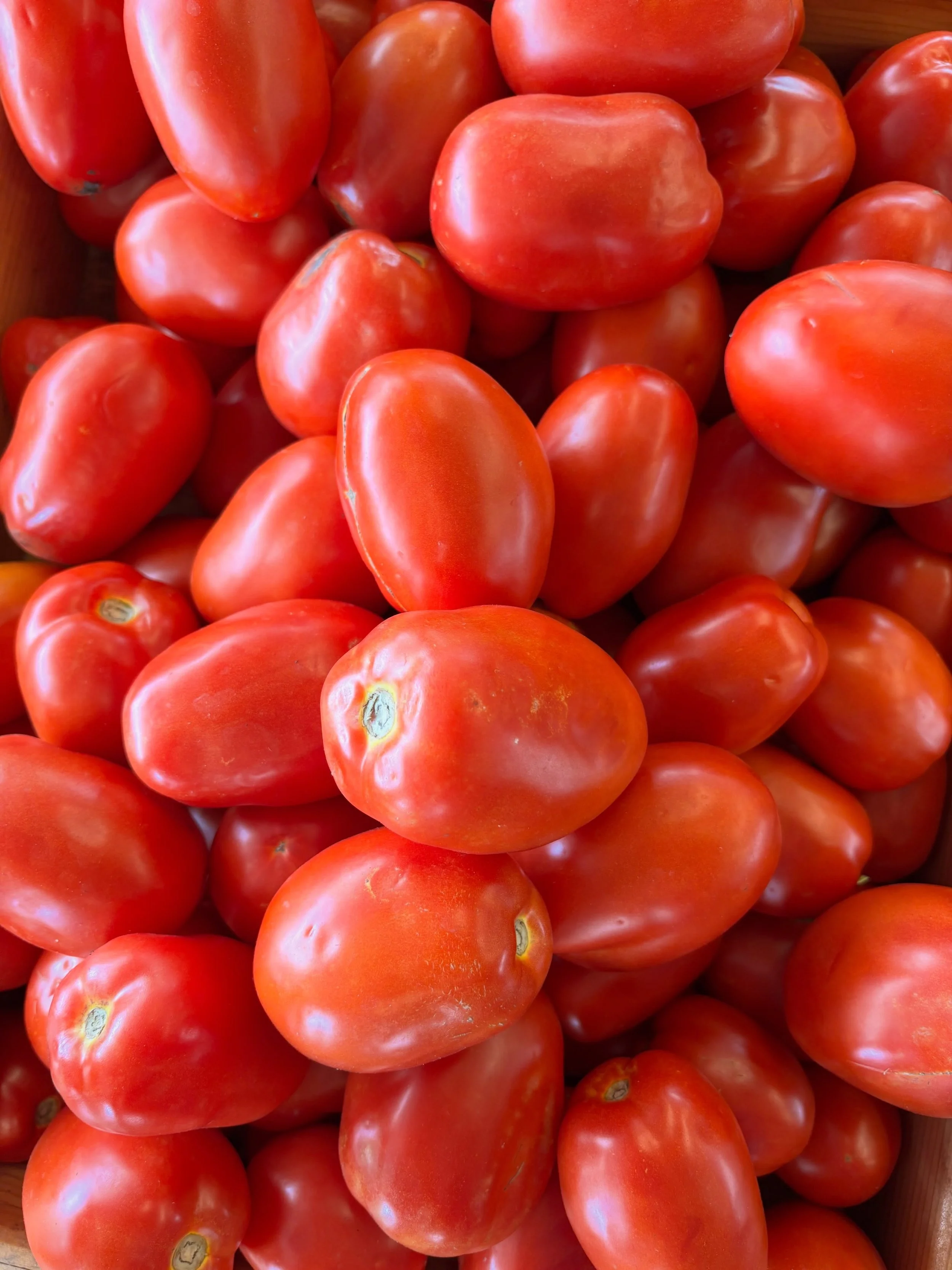 Roma Tomato boxes for canning (approximately 25lb for $30). Direct Message us with your name and pick up day / time between August 18 - 21 and we will save a box for you. Limited availability.