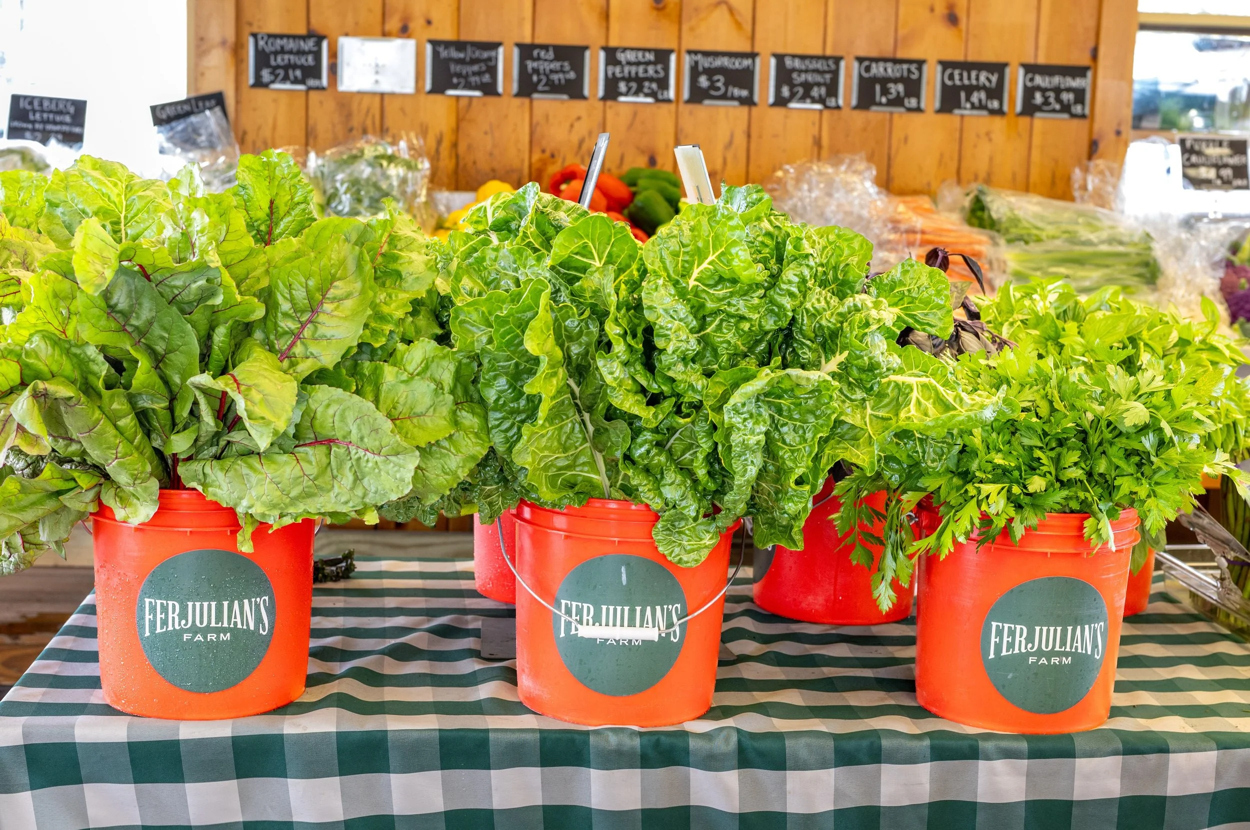 Picked fresh every day &mdash; Kale, Swiss Chard, Parsley, Basil.
