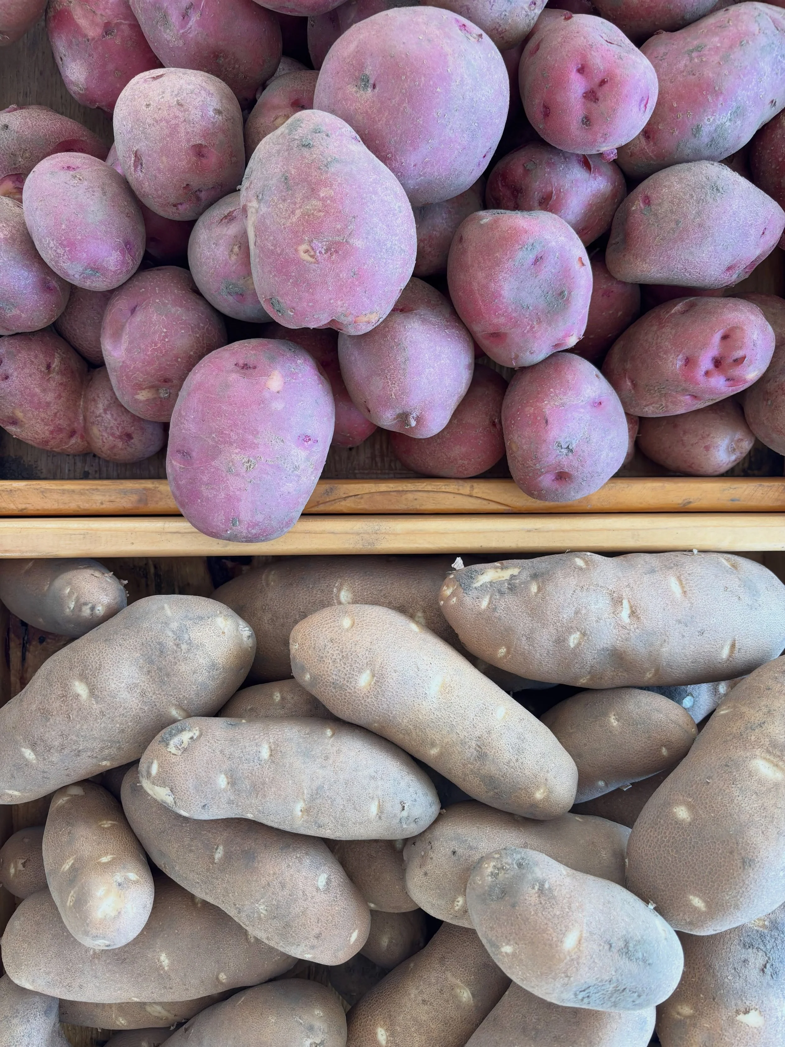 We&rsquo;ve dig two potato varieties this year &mdash; Red Potatoes and Russet Potatoes. They&rsquo;re beauties 💛