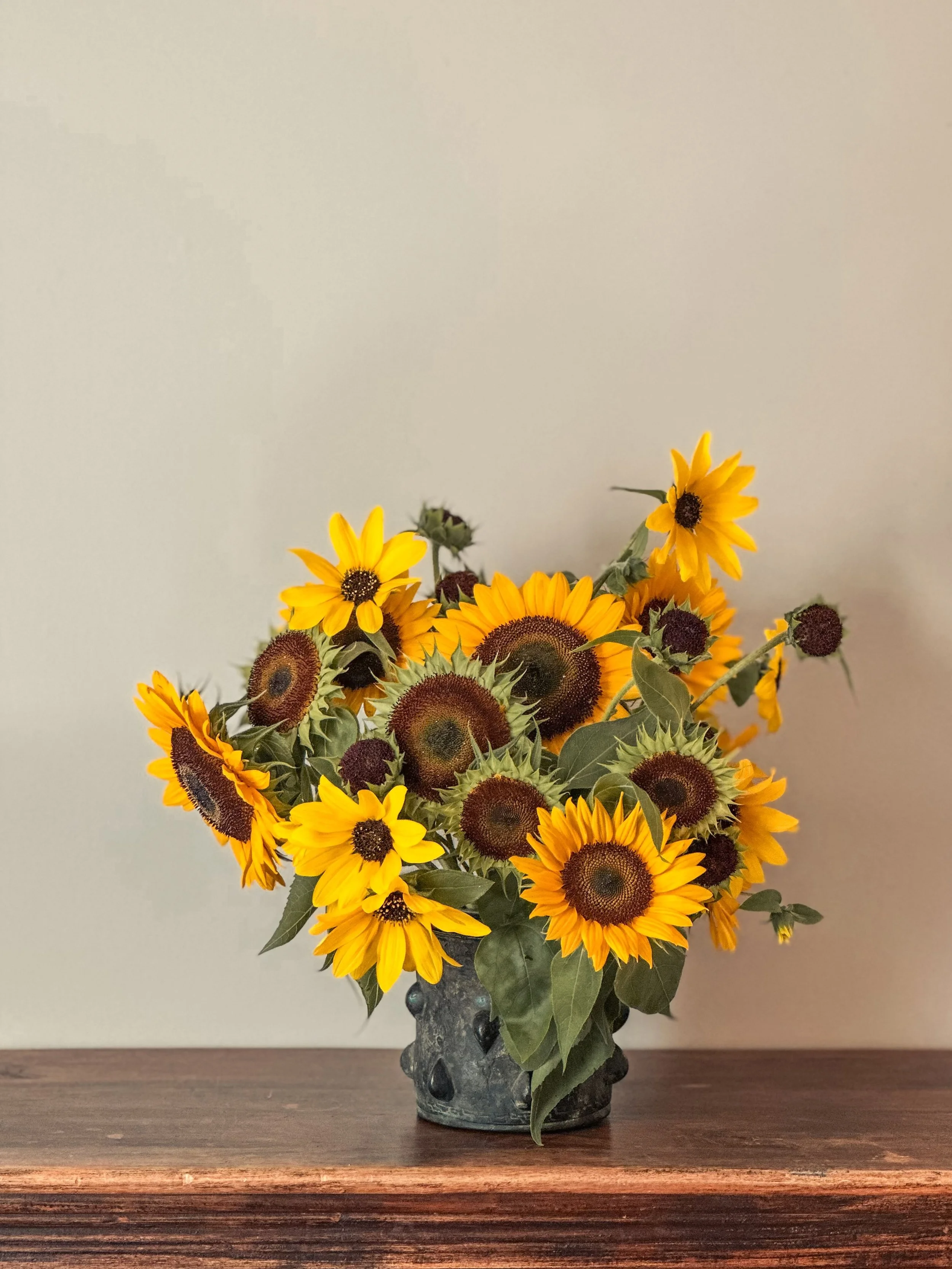 Sunflowers! We have plenty in the Flower Cutting Garden for picking. Some are repeat blooming with a slightly smaller face that works well in a mason jar arrangement. 

The sunflower varieties at the top of the hill are one and done. We succession pl