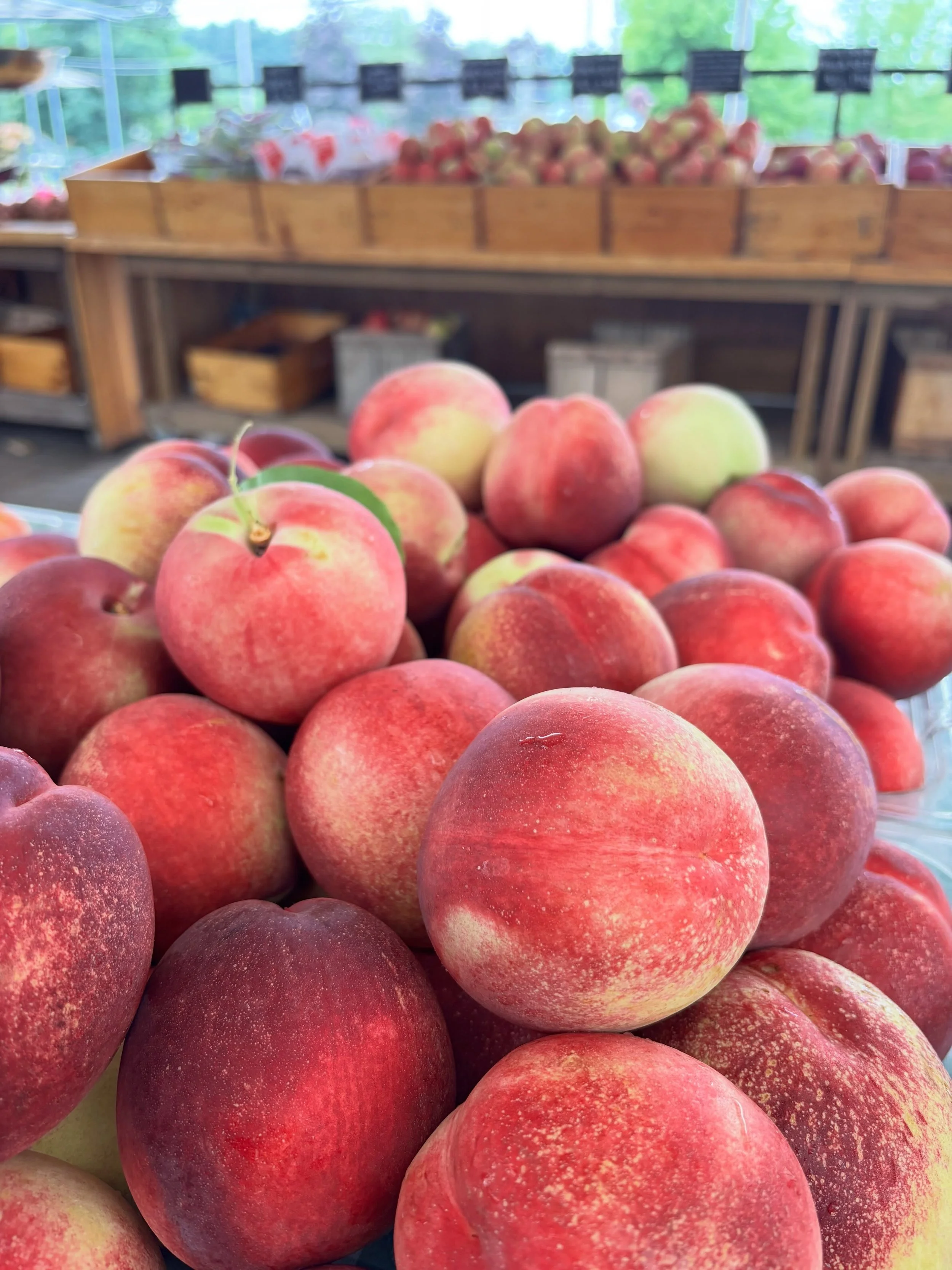 A little family secret &mdash; the late season white nectarines are our favorite fruit 😍