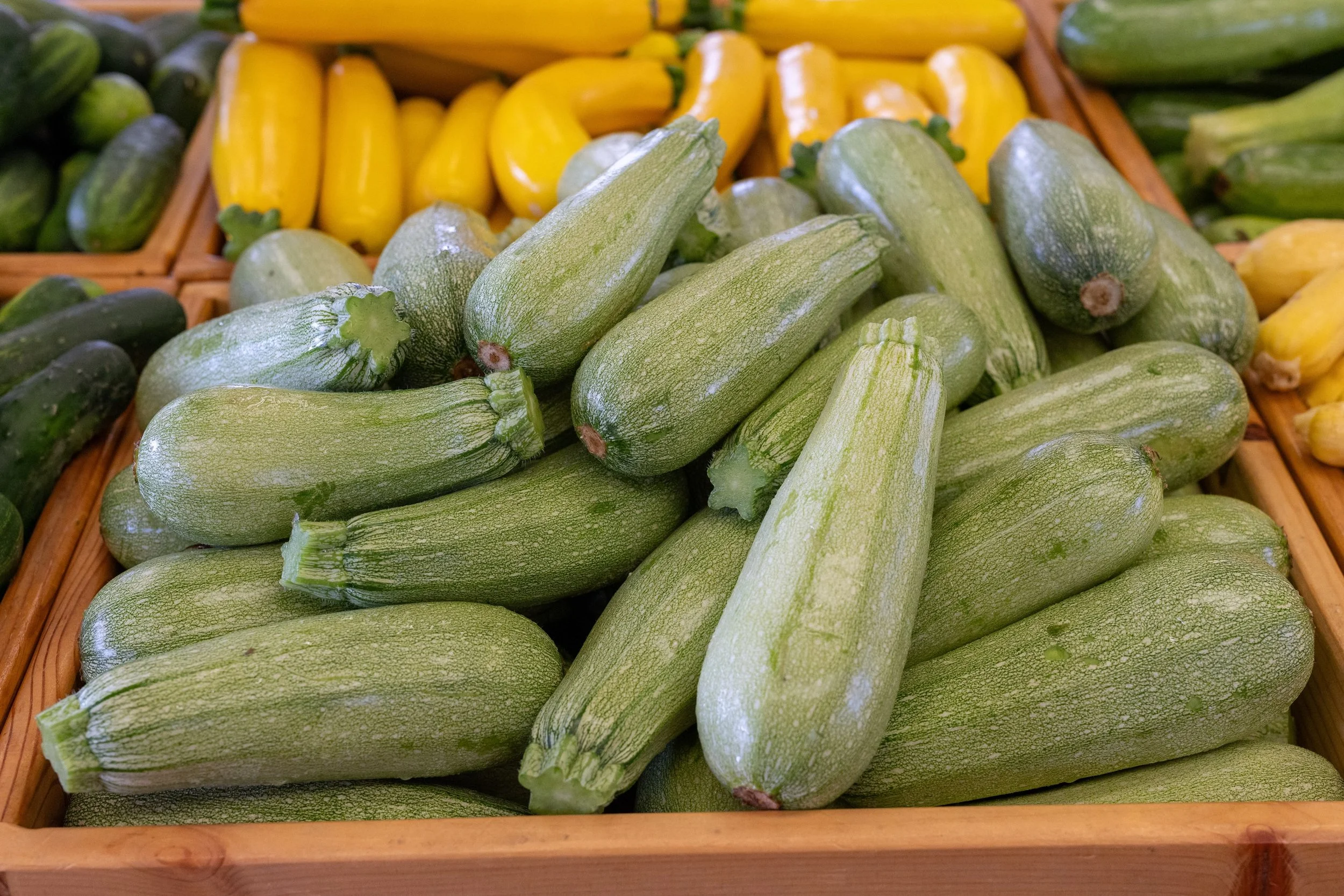 We grow 4 types of squash &mdash; Mediterranean (pale green), zucchini (dark green), summer (pale yellow), yellow zucchini (bright yellow).