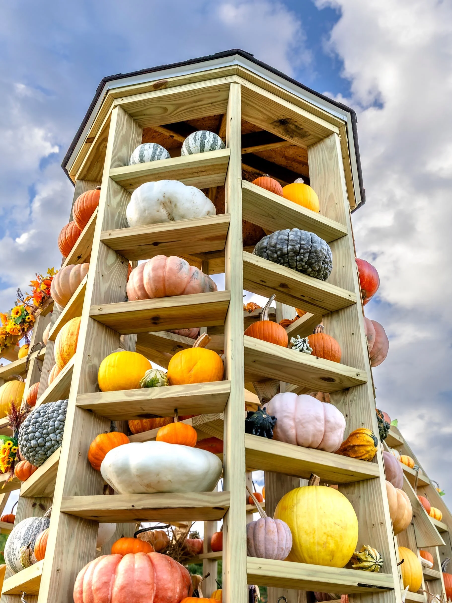 The pumpkin house is back!