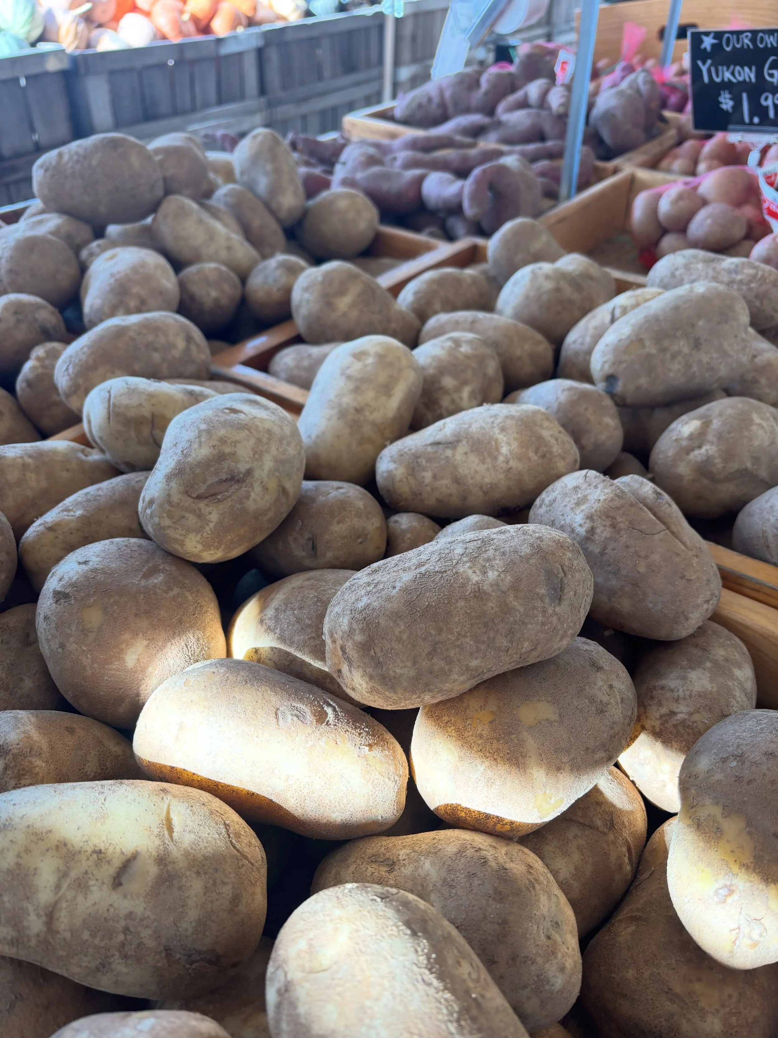 Around the farm stand Tuesday, September 22!