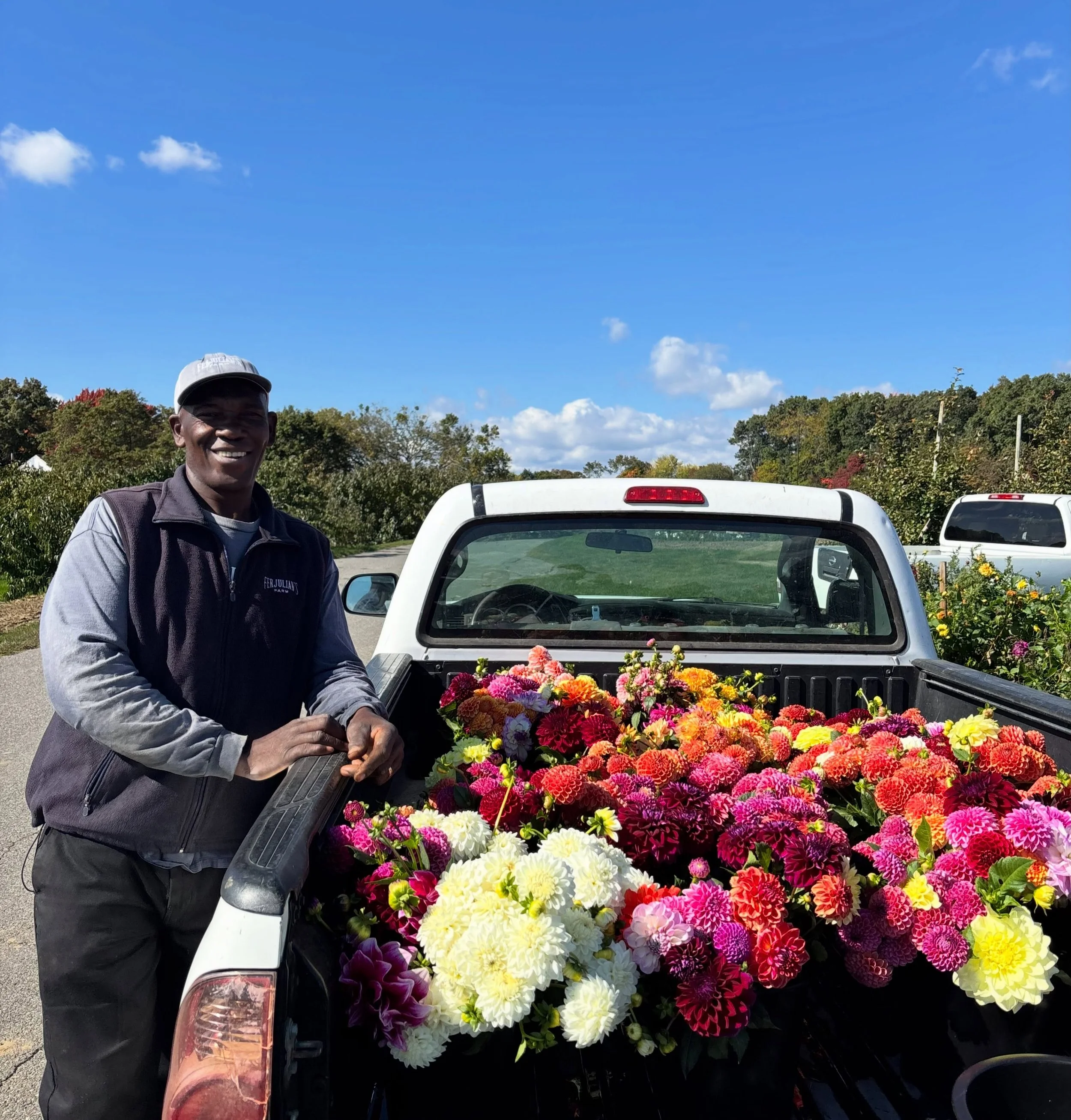 Carlton says come on down for the very last dahlias of 2026! (Digging tubers this afternoon).