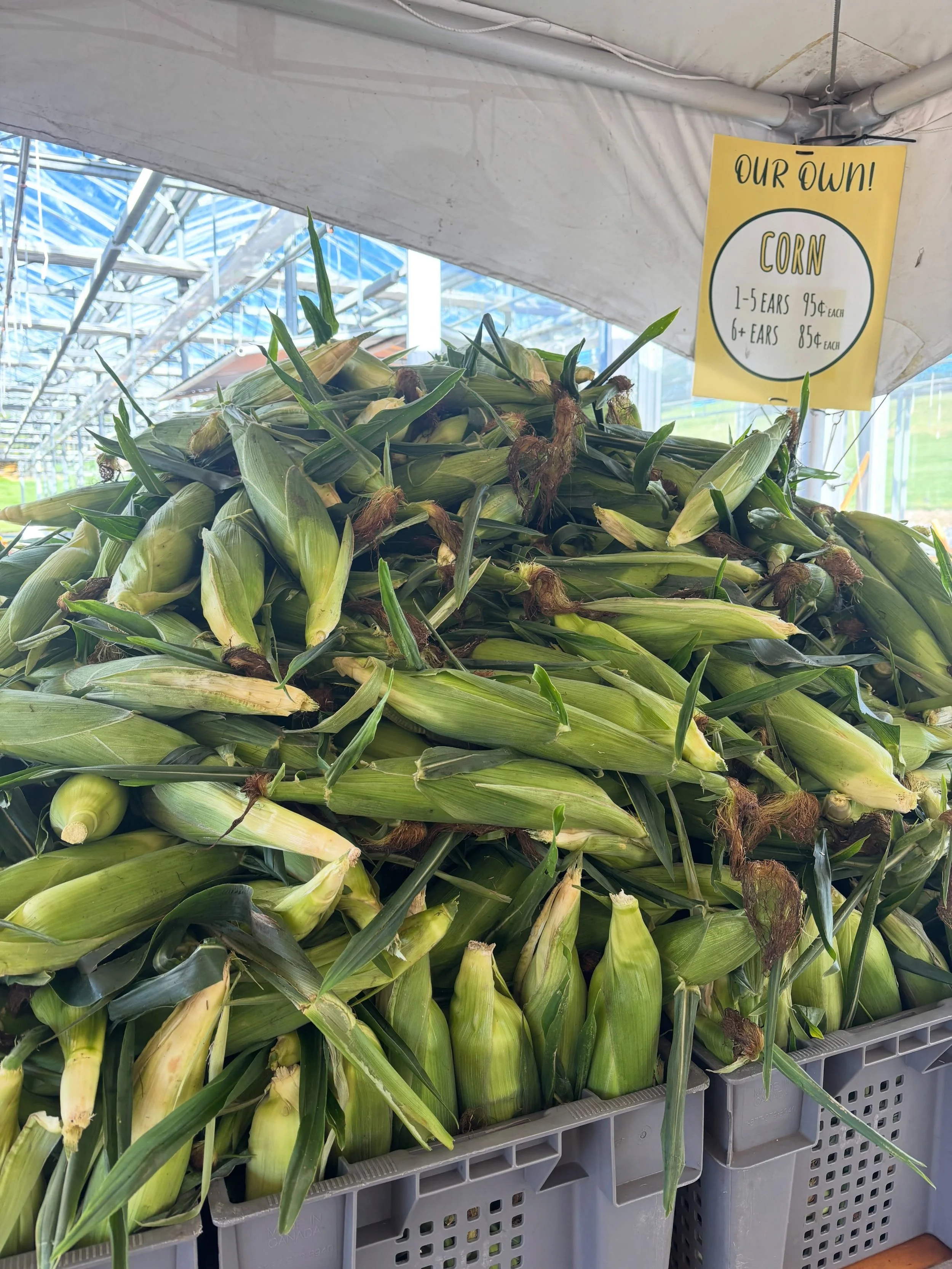 Last call for Ferjulian&rsquo;s Corn!!!!!!!