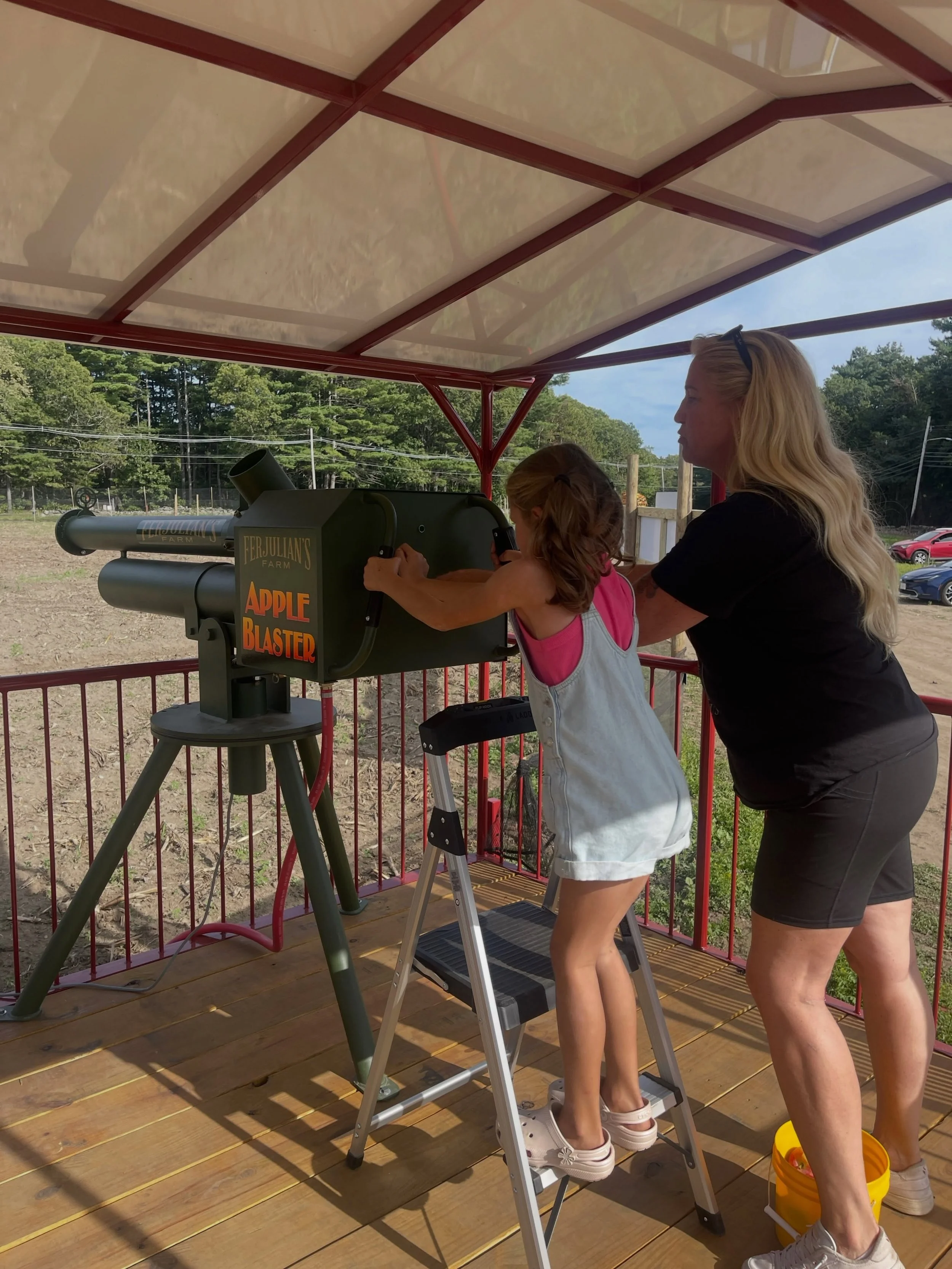 Apple blasters will be open tomorrow, Monday, October 12 from 9am - 5:30pm. The cost is $10 (CASH ONLY - no internet connection in the field) to blast a bucket of 10 apples. 

All ages welcome!