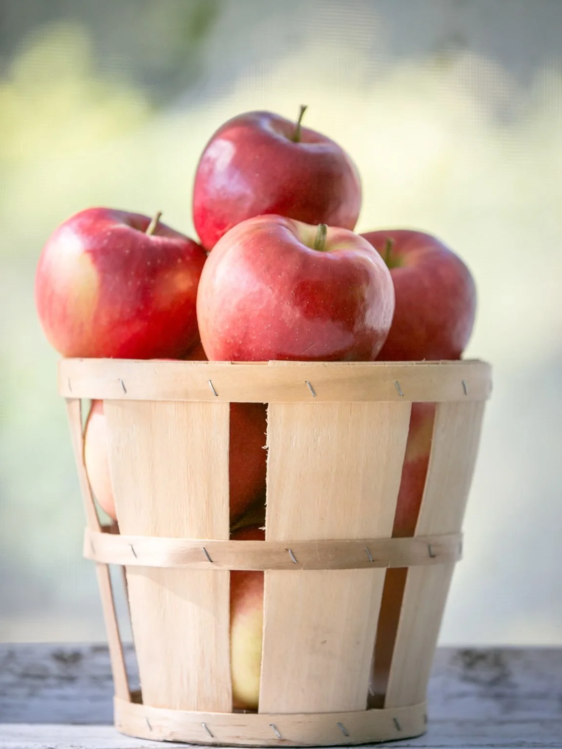 Apple line up for Sunday, October 18!

Macoun - the perfect eating apple. Balanced sweet-tart flavor, crisp texture. (These will sell out for the season by the end of the day).

Fortune - these babies are enormous. They are great for baking but we ha