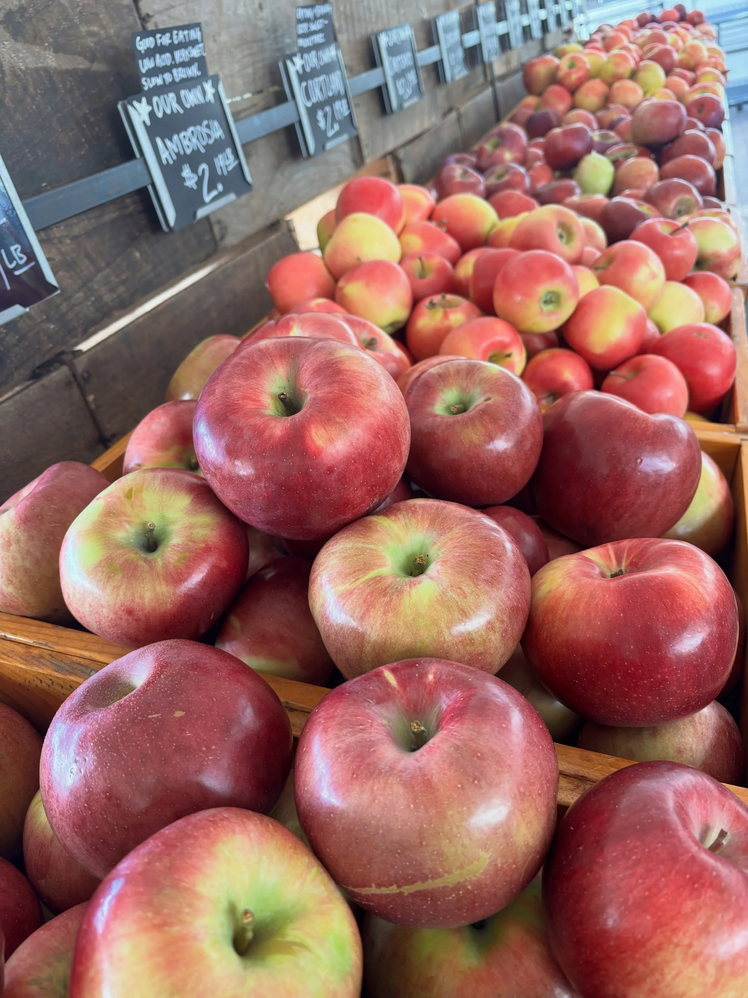 Folks, the apples are flying out of here. At this rate it doesn&rsquo;t look like we will have enough for the &ldquo;blue bag special.&rdquo; If you&rsquo;ve been waiting, you should come get your apples.

Also! If you want to give a Ferjulian&rsquo;