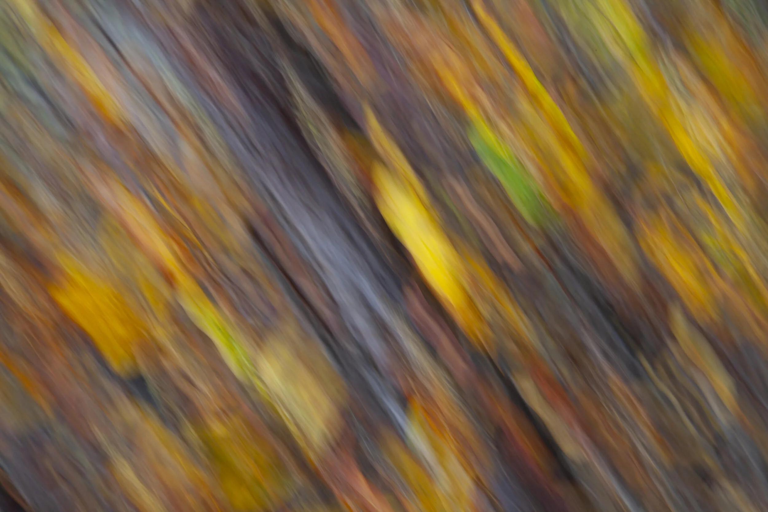 The Currents of Yellow.jpg
