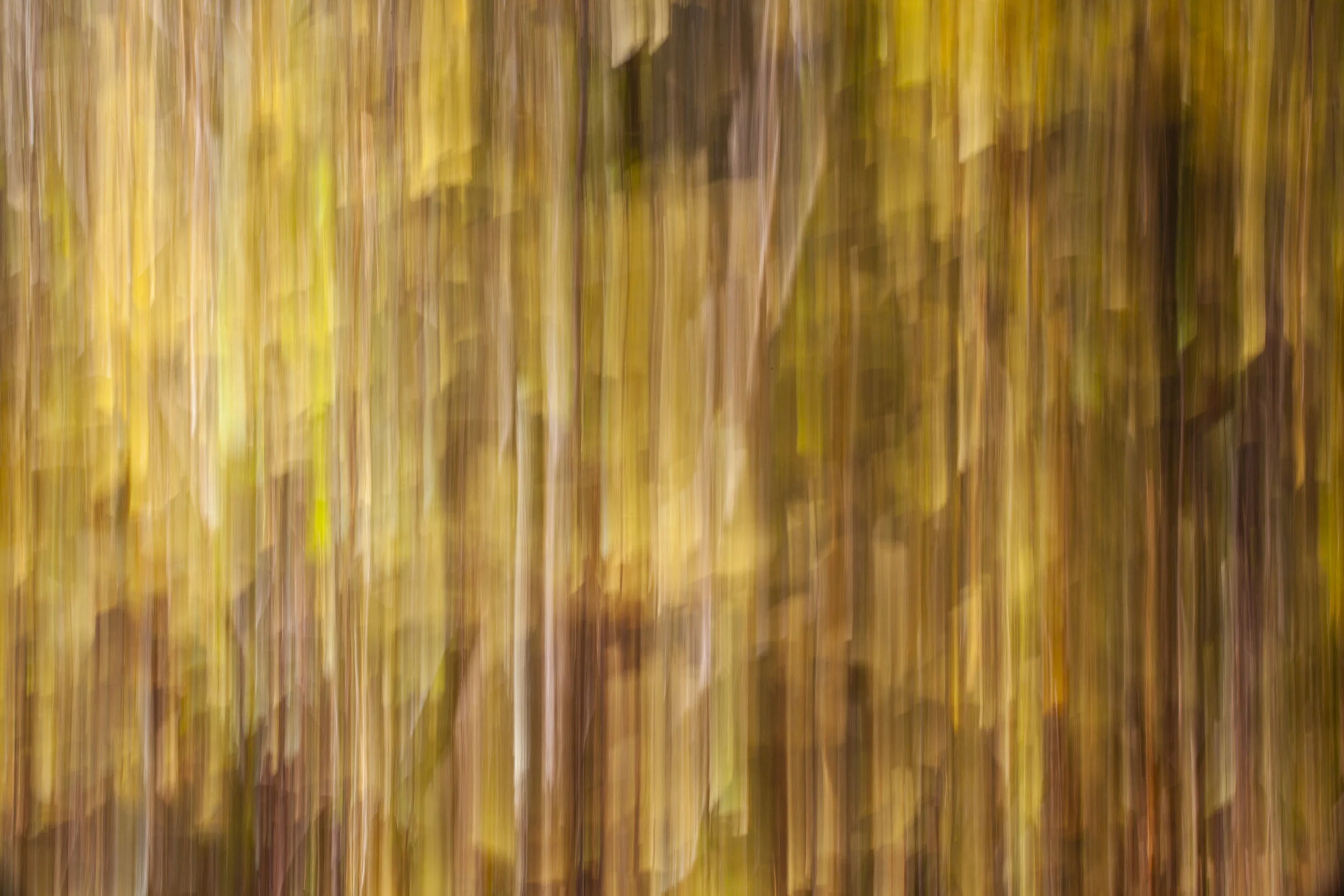 Storm of Gold.jpg